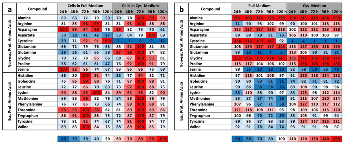 IJMS | Free Full-Text | Cysteine Restriction in Murine L929 Fibroblasts ...