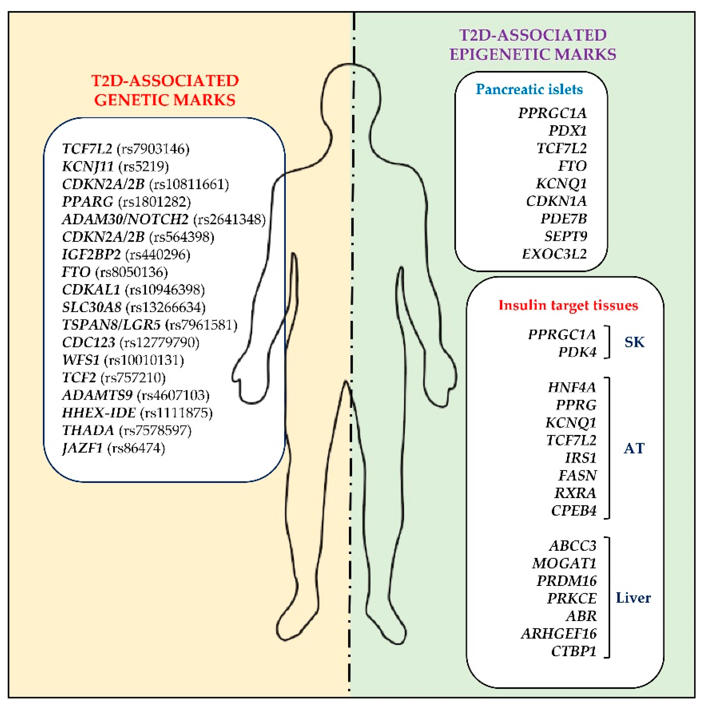 PDF) ZBTB12 DNA methylation is associated with coagulation- and