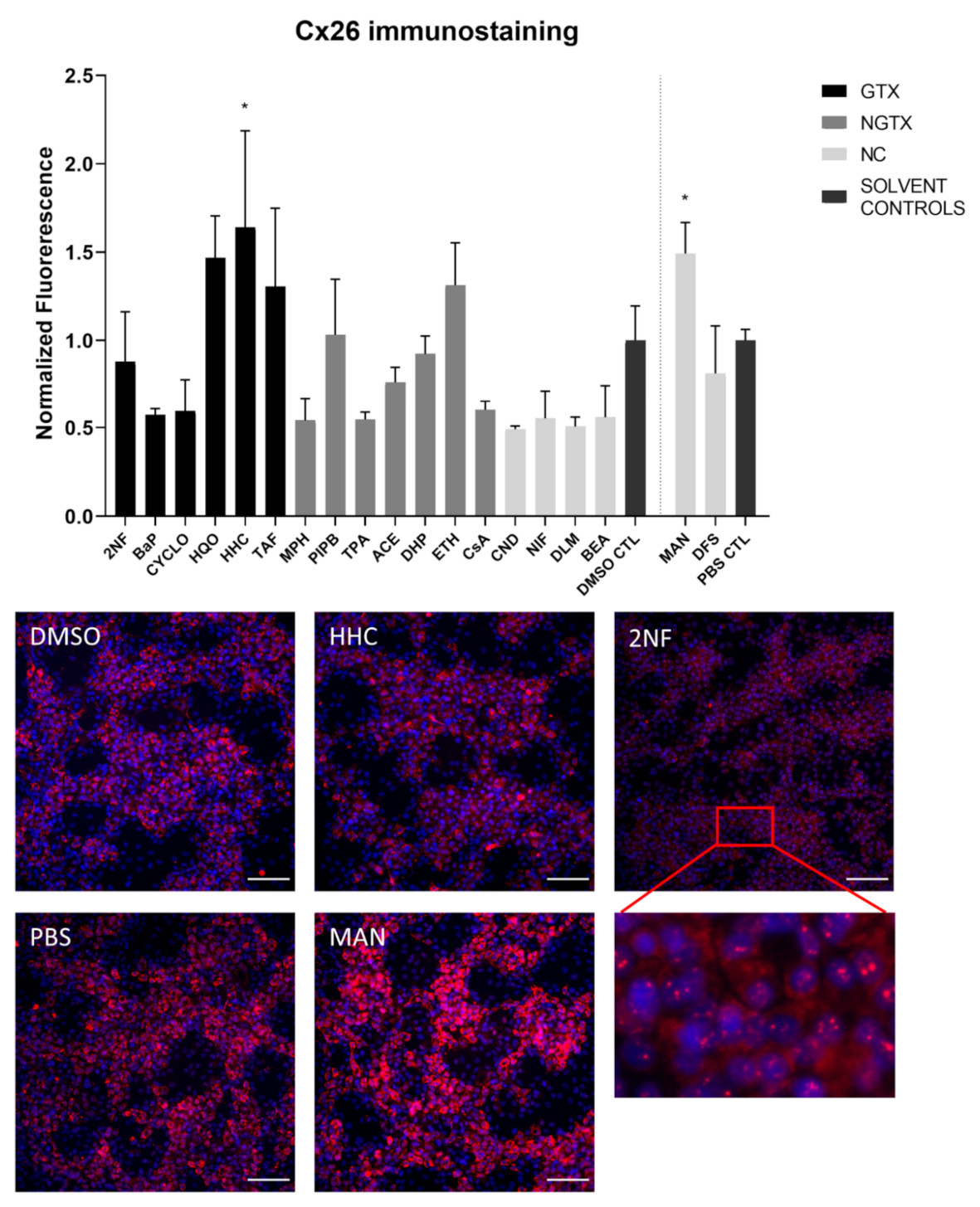 Ijms 22 11724 g004 Ijms 22 11724 g004