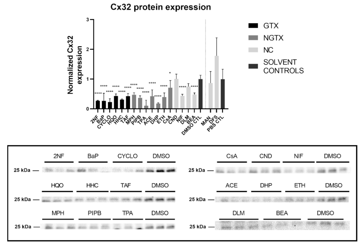 Ijms 22 11724 g005 Ijms 22 11724 g005
