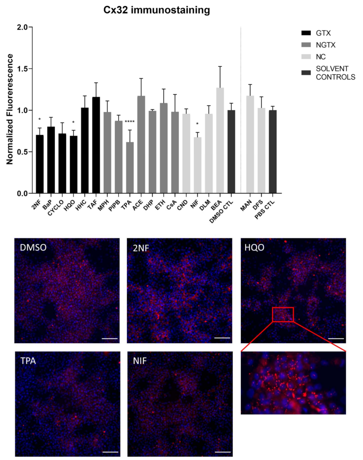 Ijms 22 11724 g006 Ijms 22 11724 g006