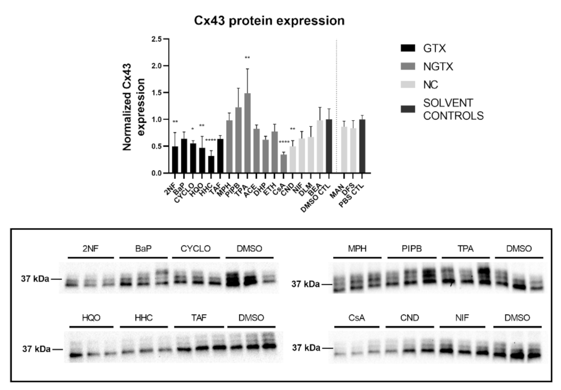 Ijms 22 11724 g007 Ijms 22 11724 g007