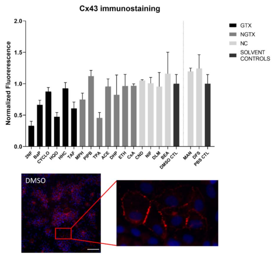 Ijms 22 11724 g009 Ijms 22 11724 g009