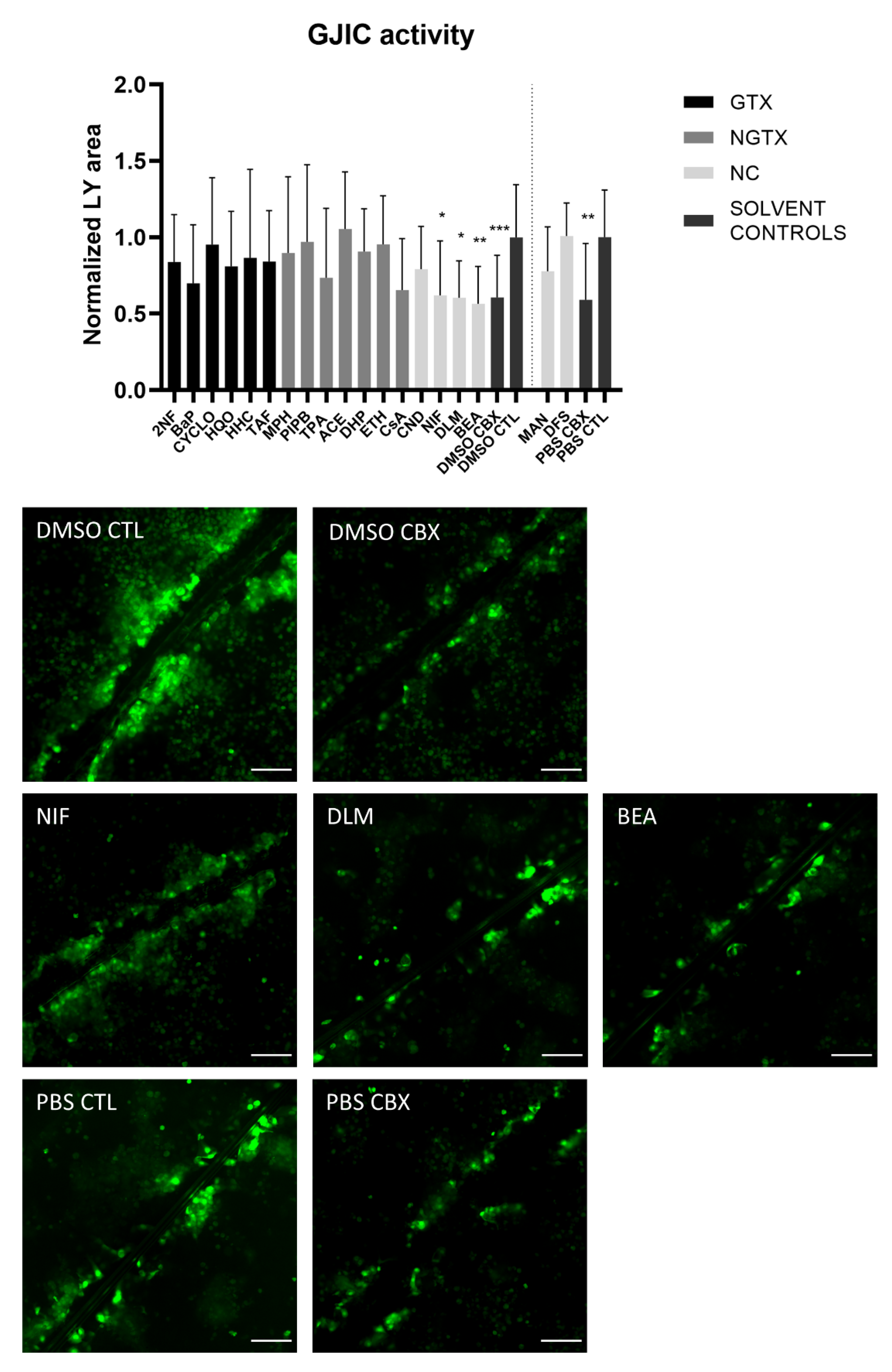 Ijms 22 11724 g010 Ijms 22 11724 g010