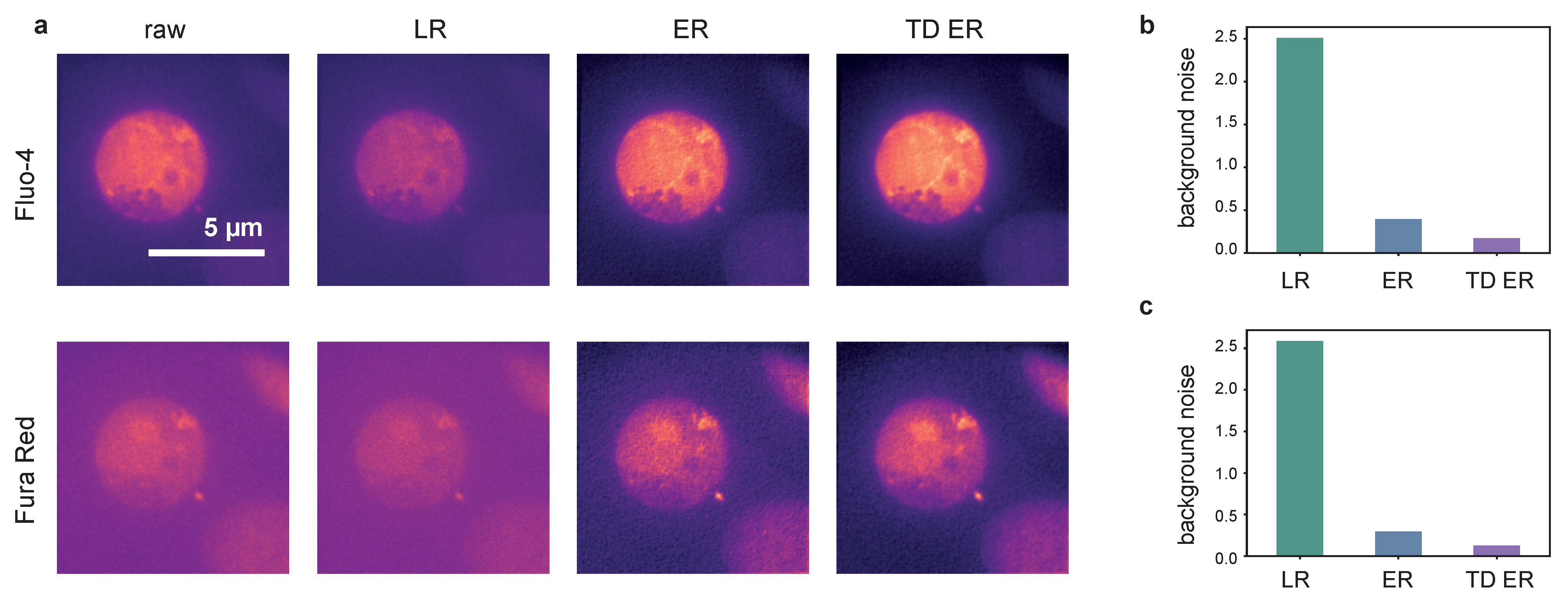 IJMS | Free Full-Text | Time-Dependent Image Restoration of Low