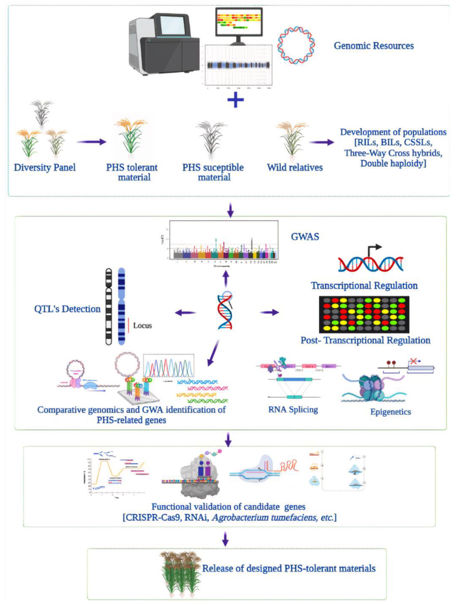 Ijms 22 11804 g002 Ijms 22 11804 g002