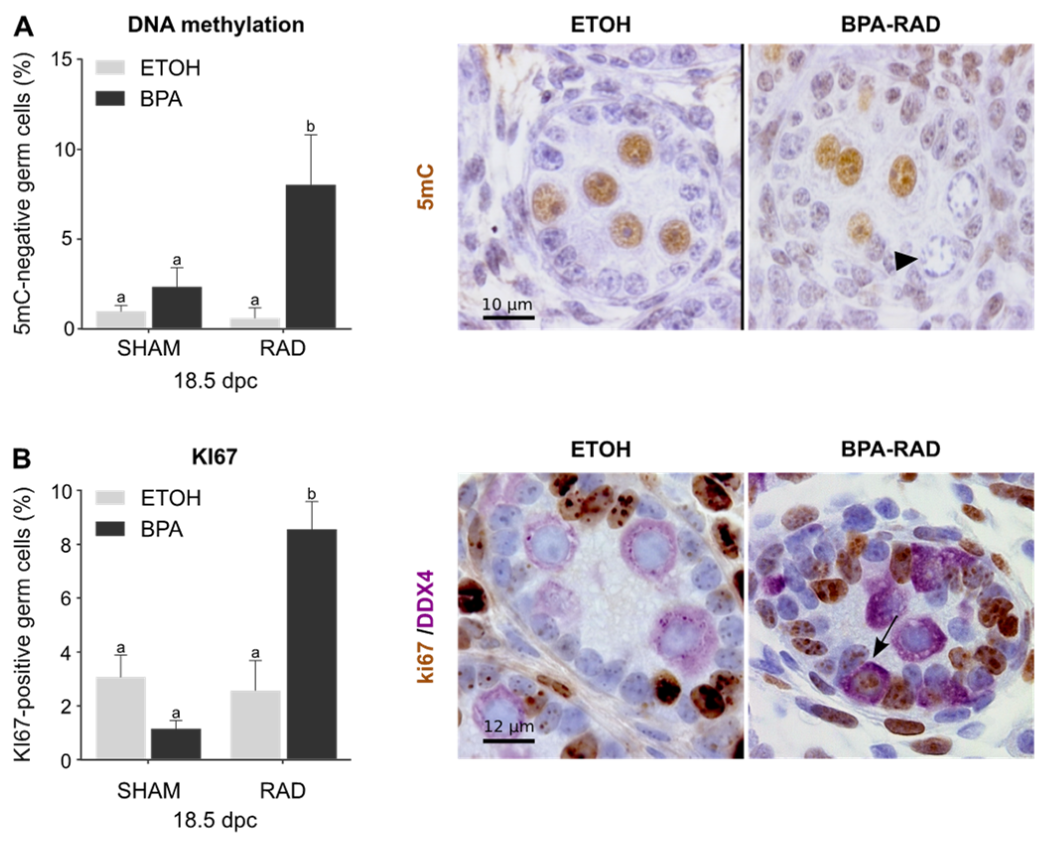 Ijms 22 11808 g003 Ijms 22 11808 g003