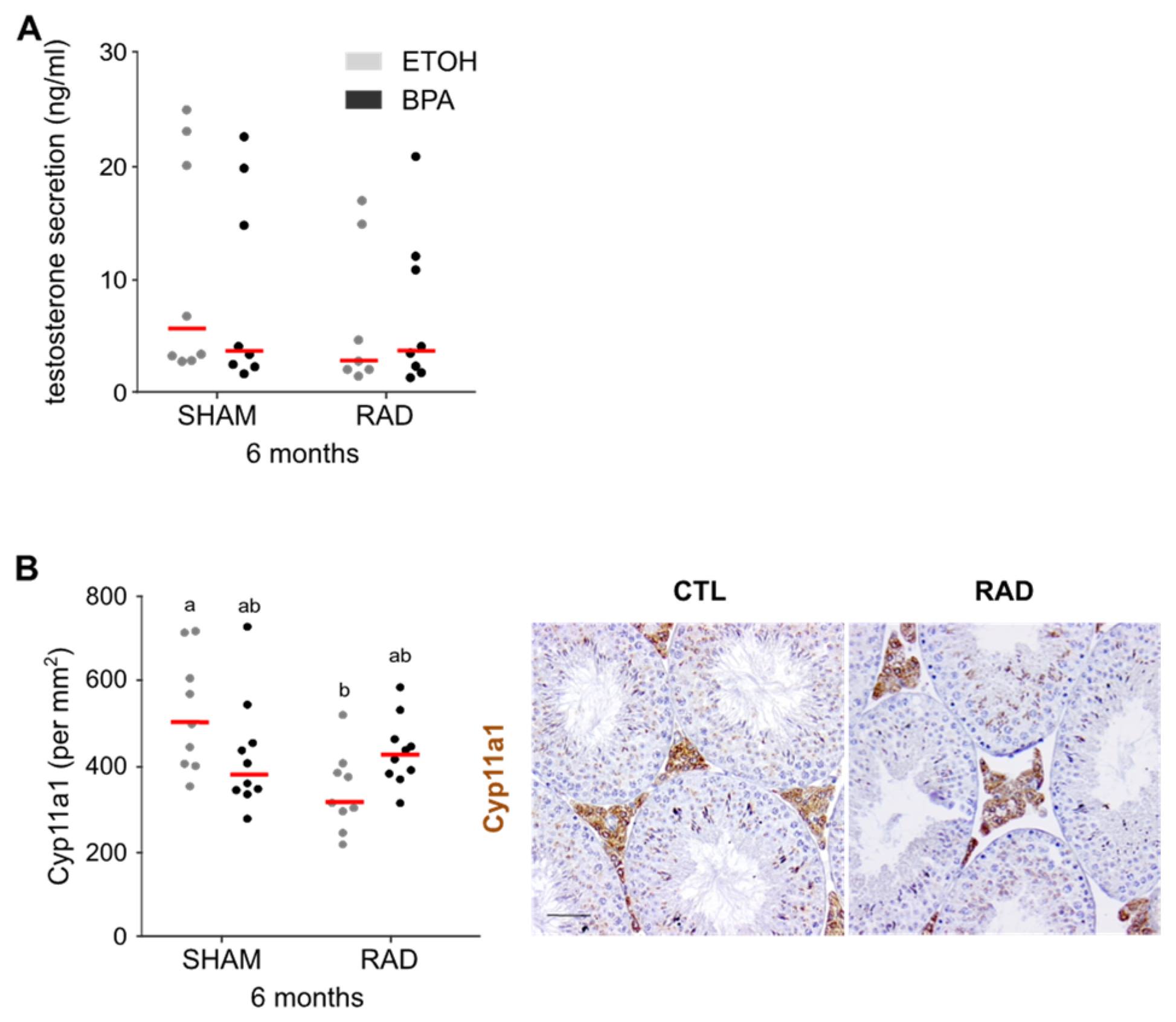 Ijms 22 11808 g005 Ijms 22 11808 g005