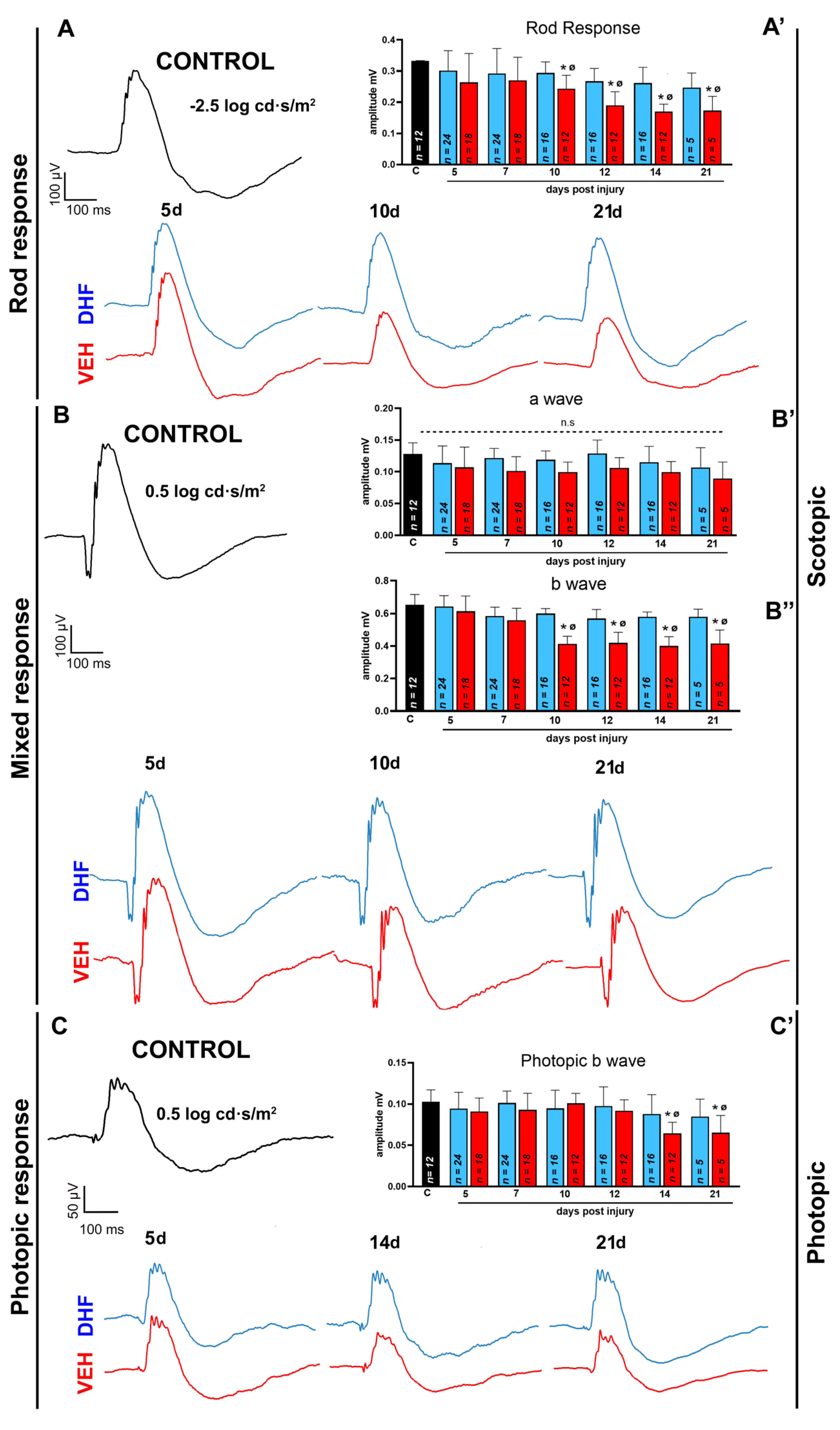 Ijms 22 11815 g002 Ijms 22 11815 g002