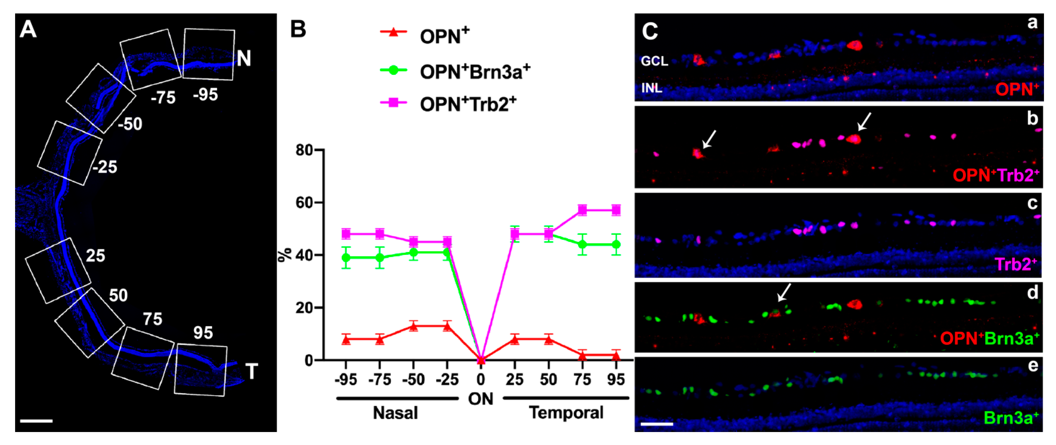 Ijms 22 11815 g004 Ijms 22 11815 g004