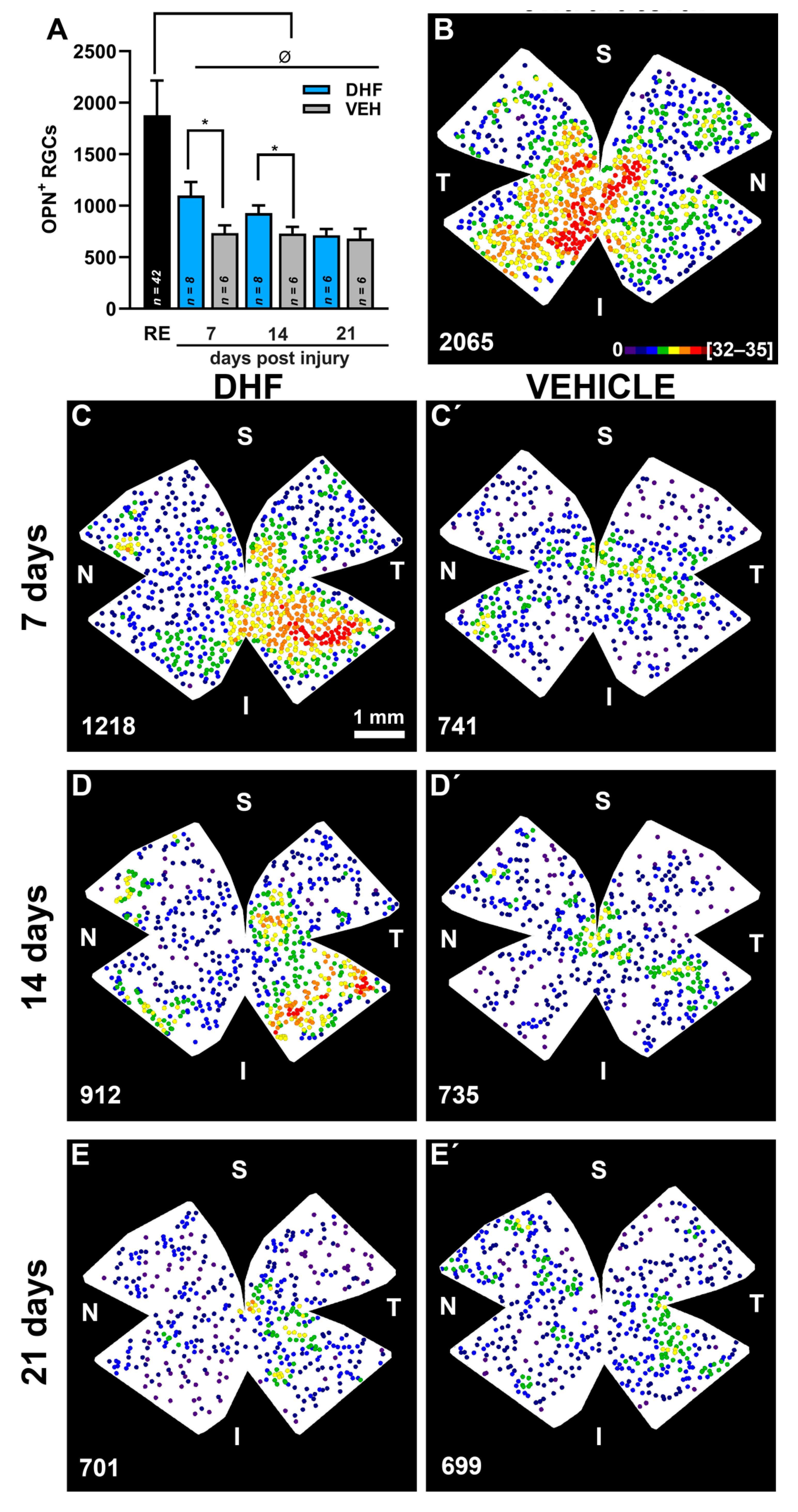 Ijms 22 11815 g006 Ijms 22 11815 g006
