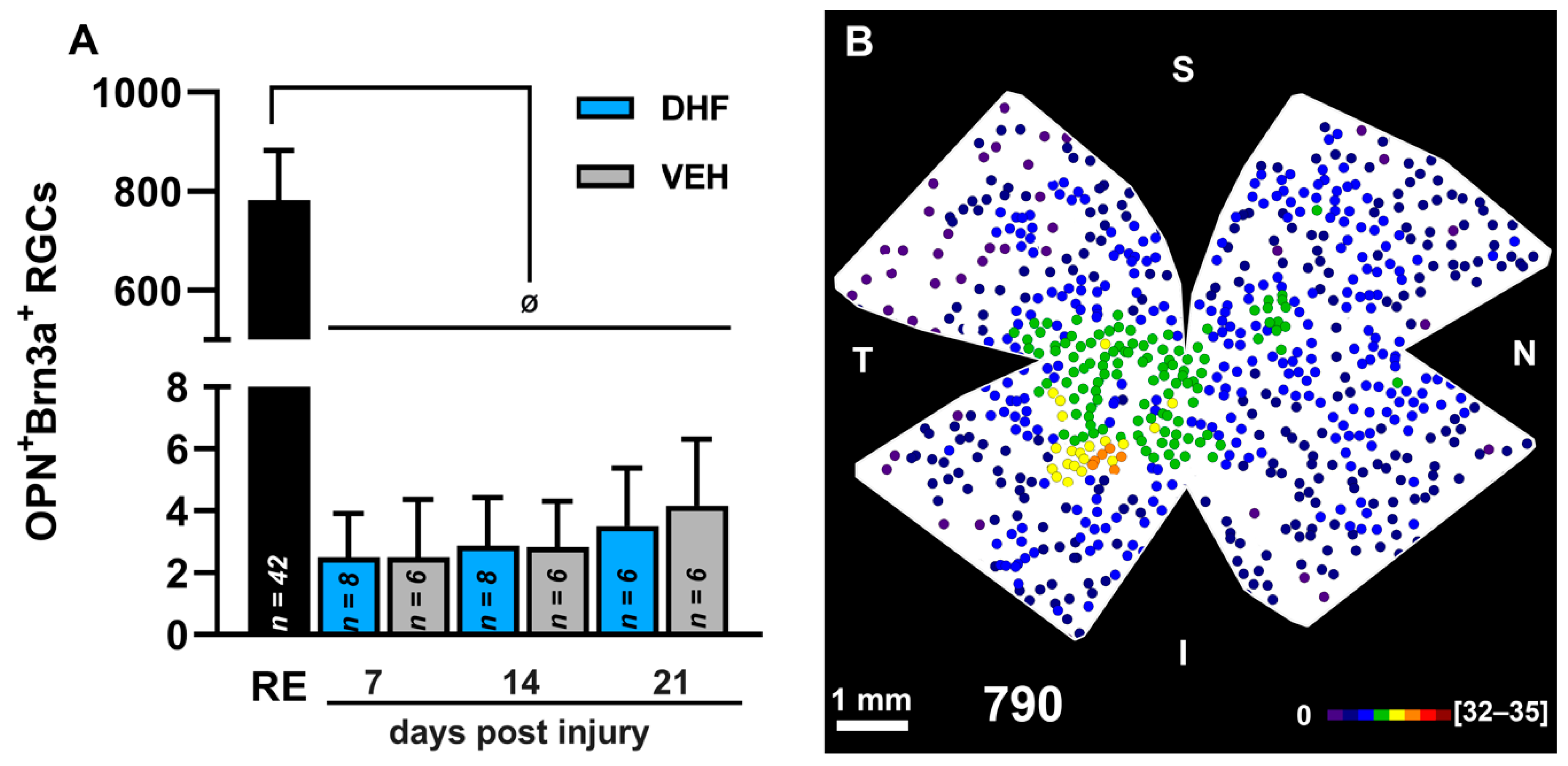 Ijms 22 11815 g007 Ijms 22 11815 g007