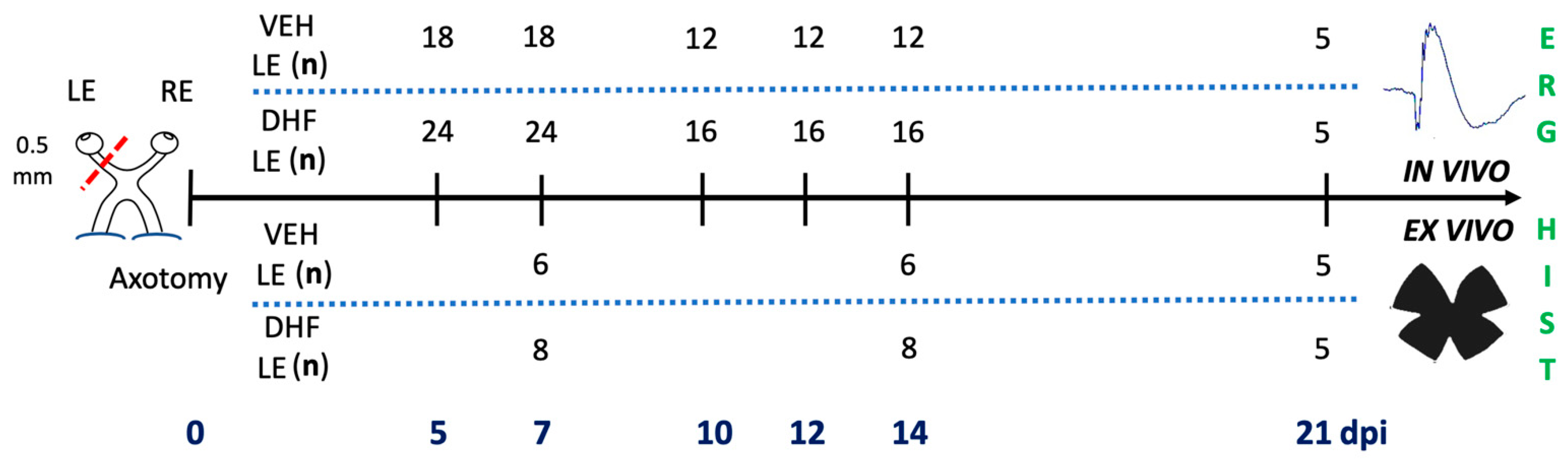 Ijms 22 11815 g009 Ijms 22 11815 g009