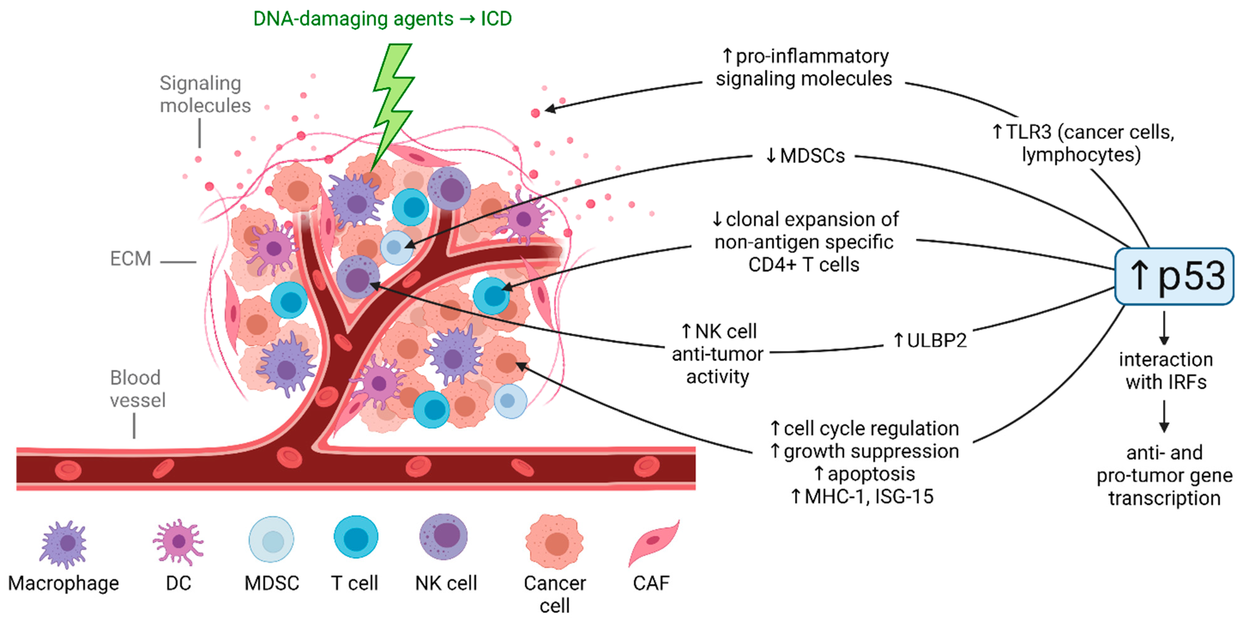 Ijms 22 11828 g002 Ijms 22 11828 g002