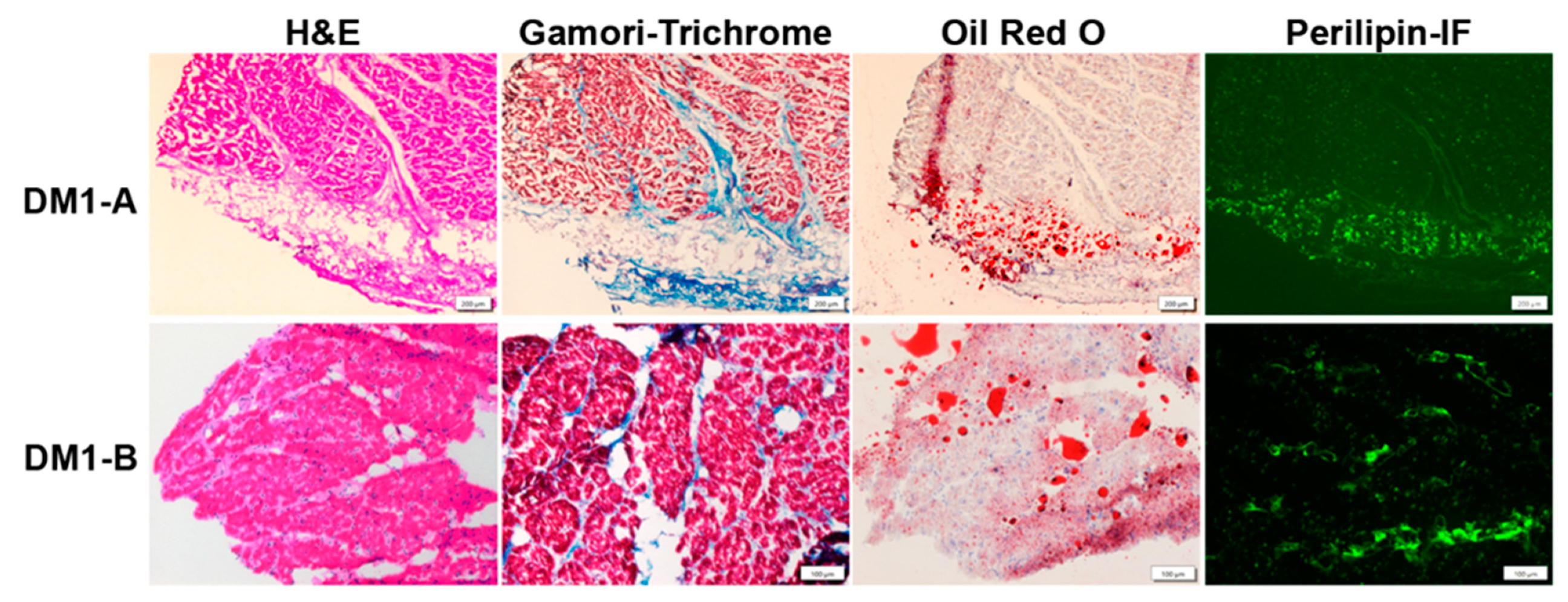 Ijms 22 11874 g001 Ijms 22 11874 g001