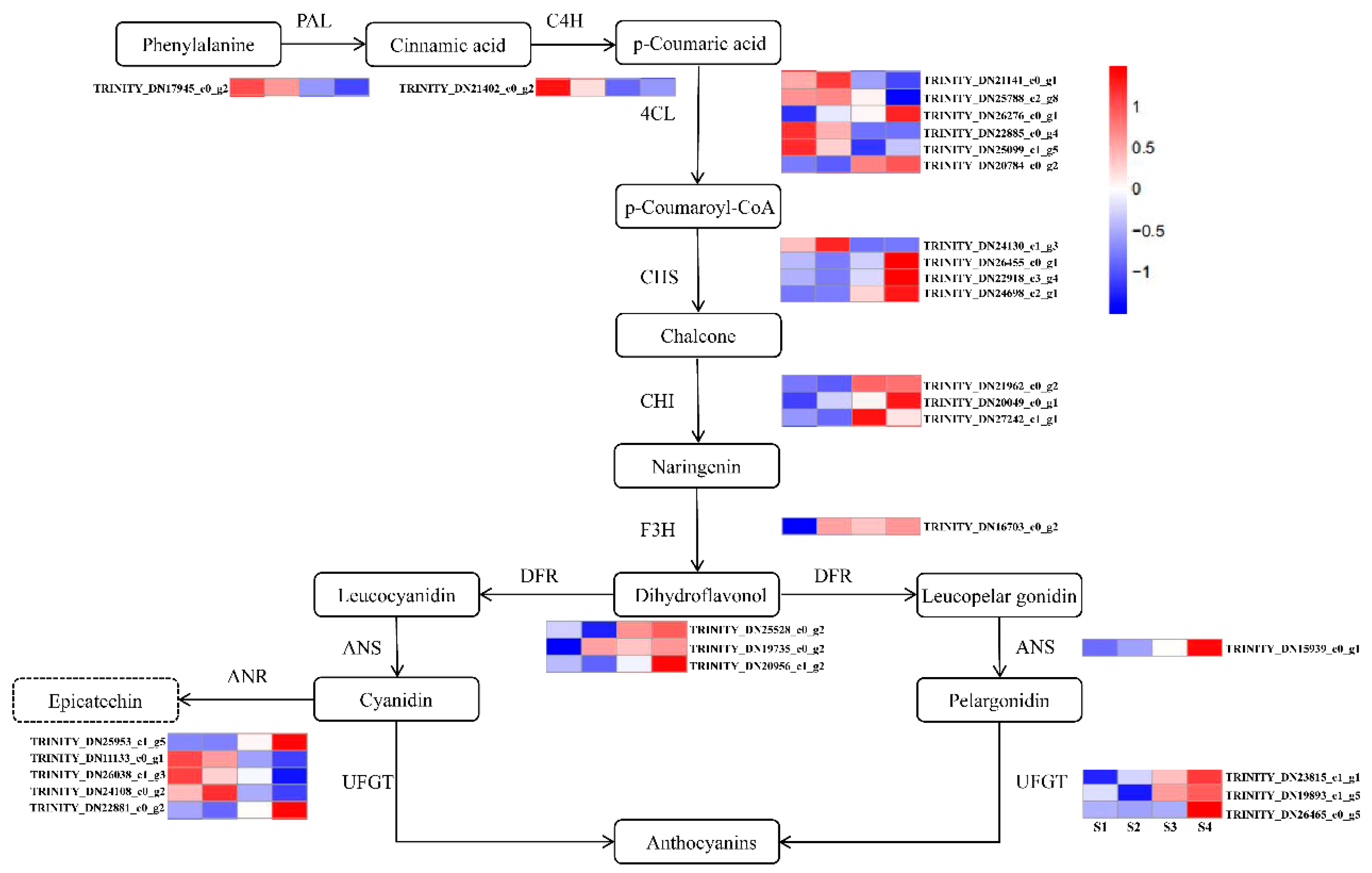 Ijms 22 11880 g004 Ijms 22 11880 g004