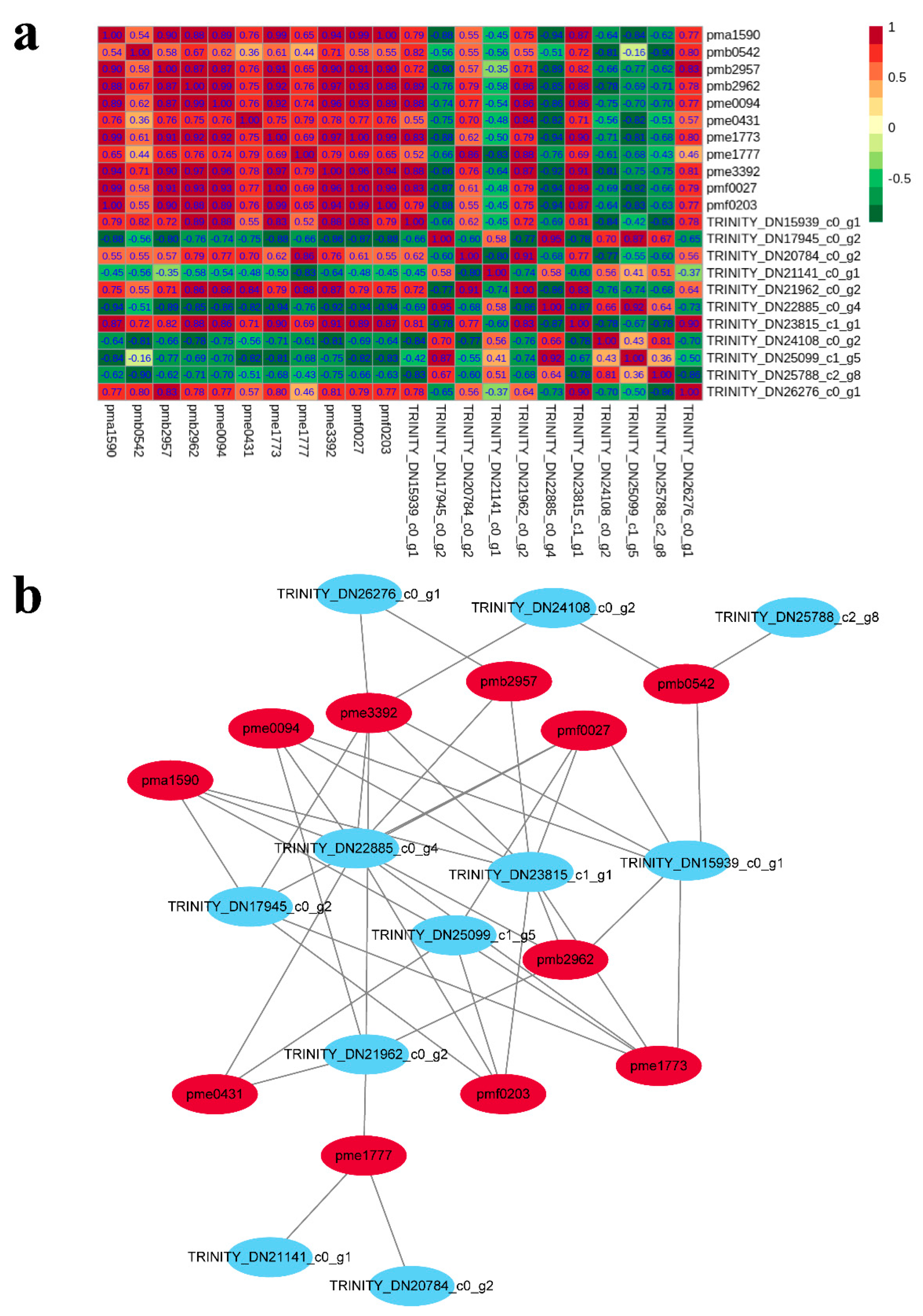 Ijms 22 11880 g006 Ijms 22 11880 g006