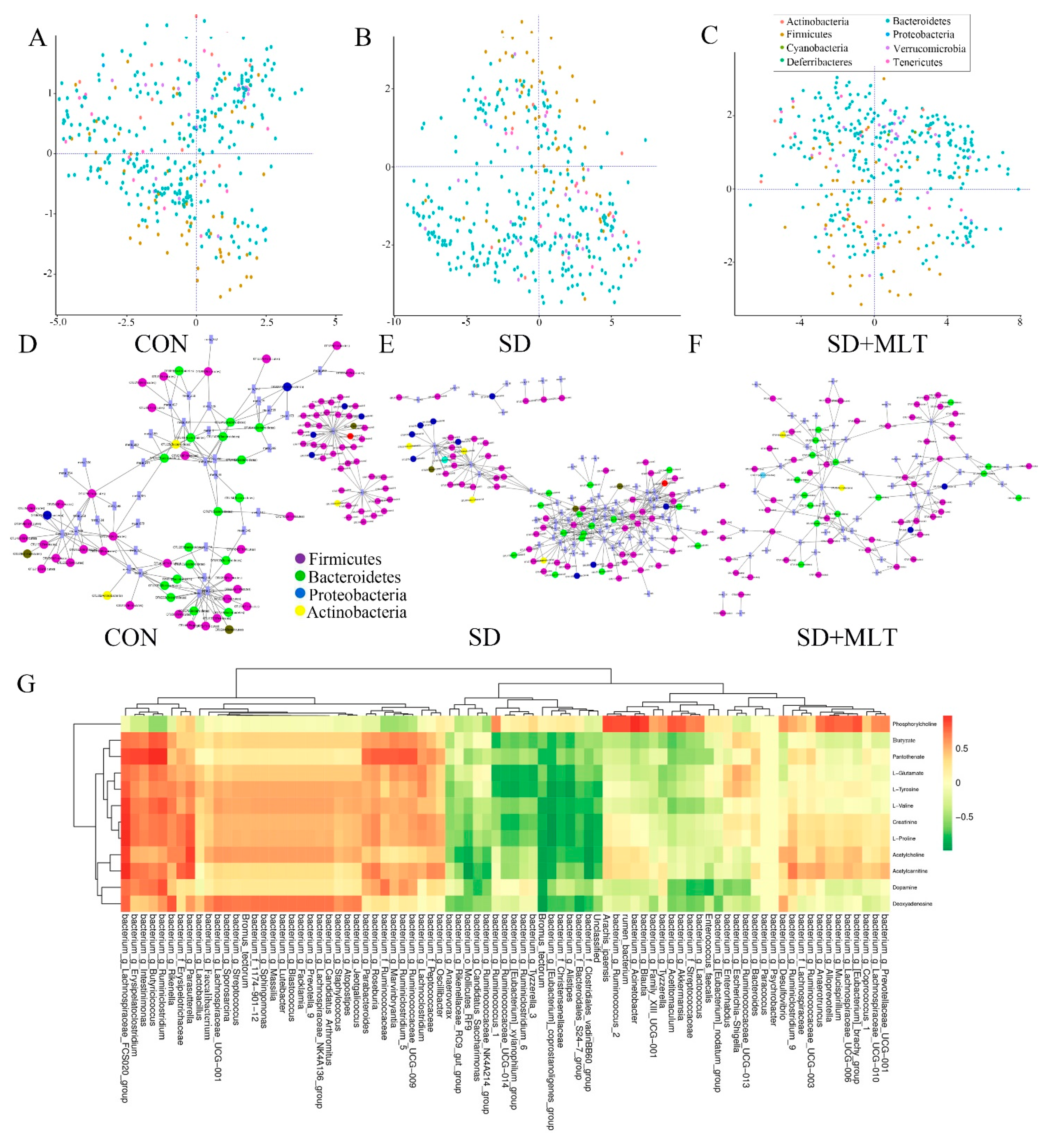 IJMS | Free Full-Text | Melatonin-Mediated Colonic Microbiota 