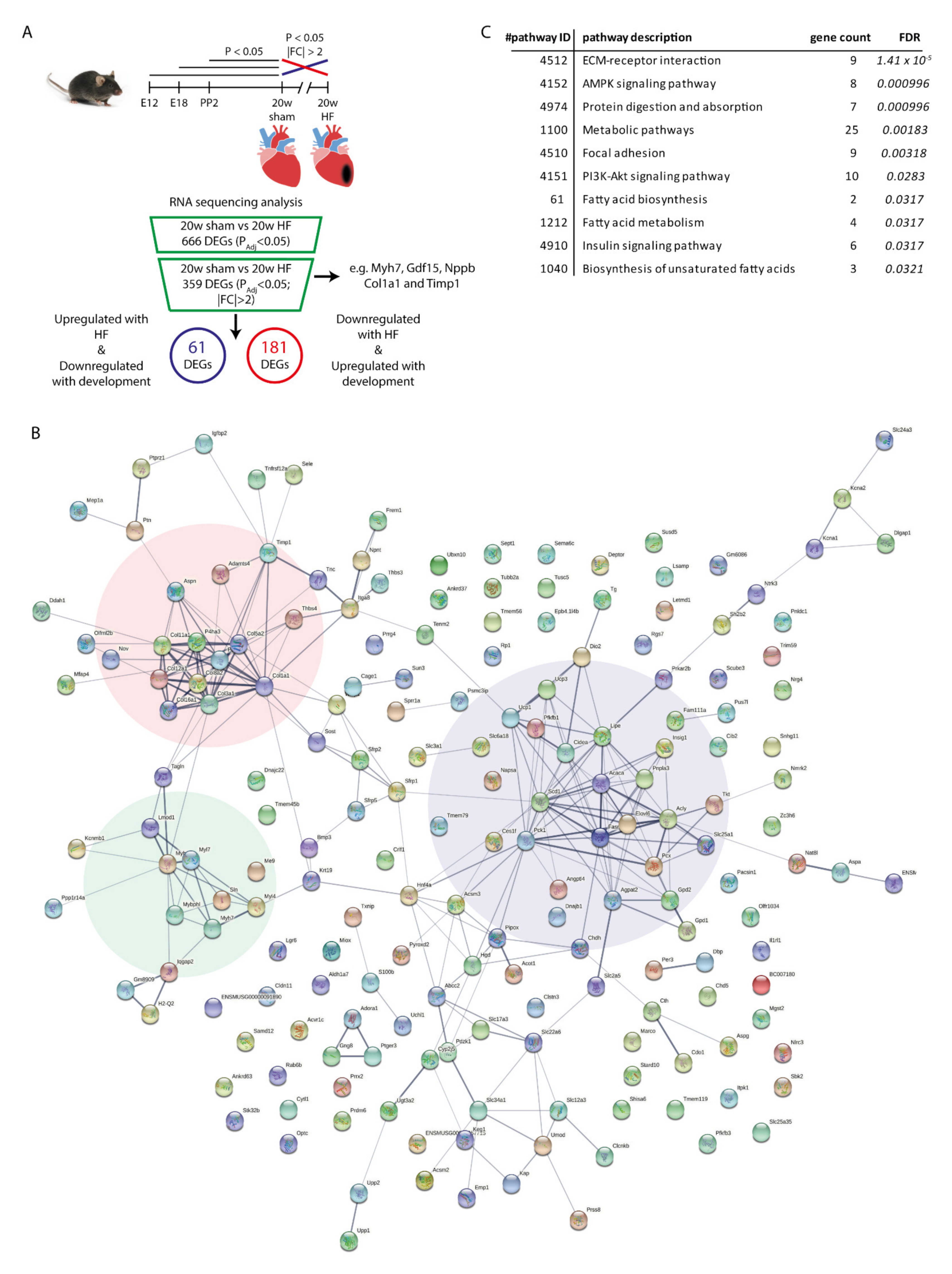 Ijms 22 11906 g001 Ijms 22 11906 g001