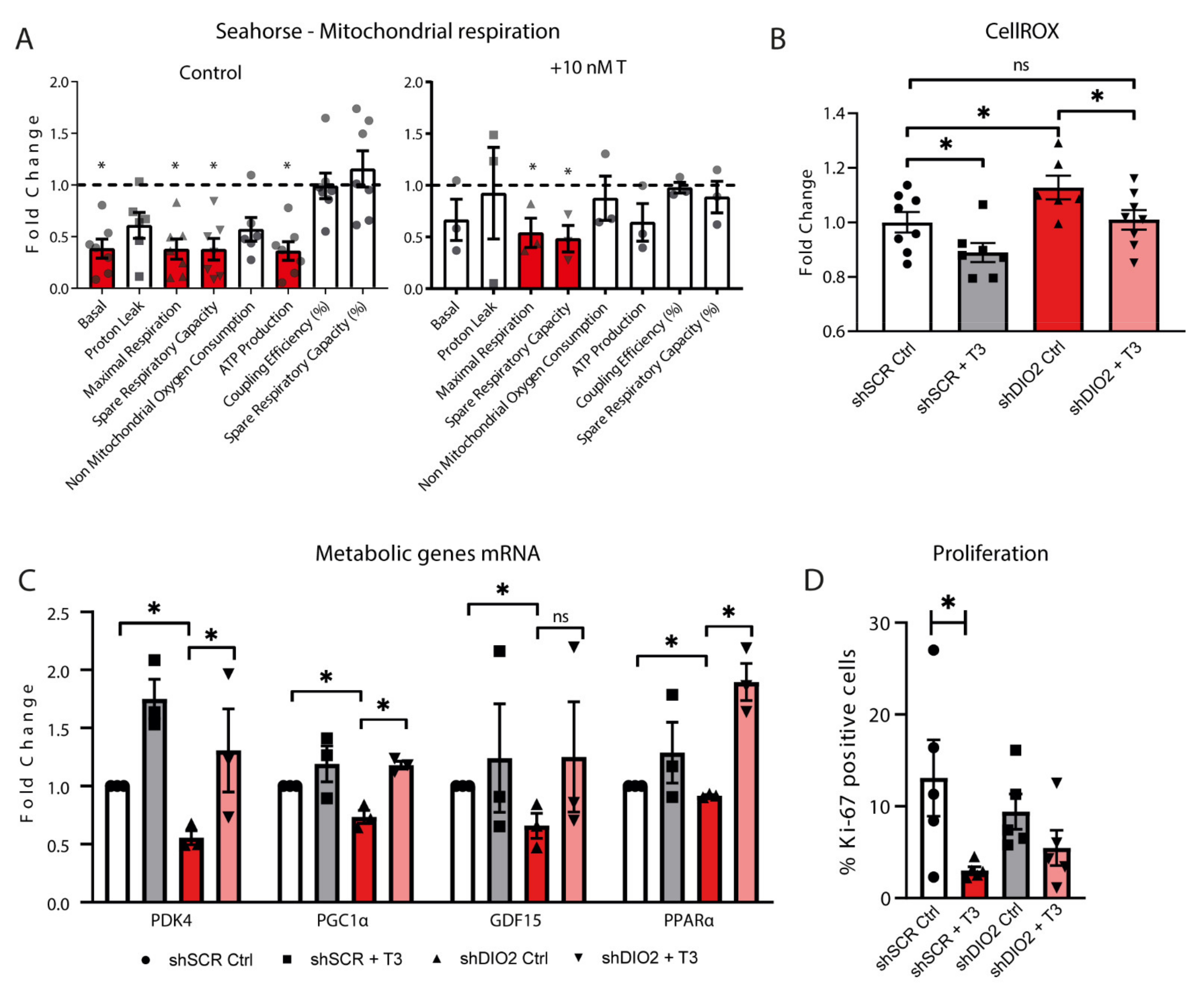 Ijms 22 11906 g005 Ijms 22 11906 g005