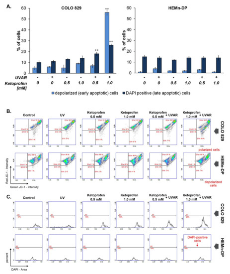 PDF) Carboranyl Analogues of Ketoprofen with Cytostatic Activity against  Human Melanoma and Colon Cancer Cell Lines