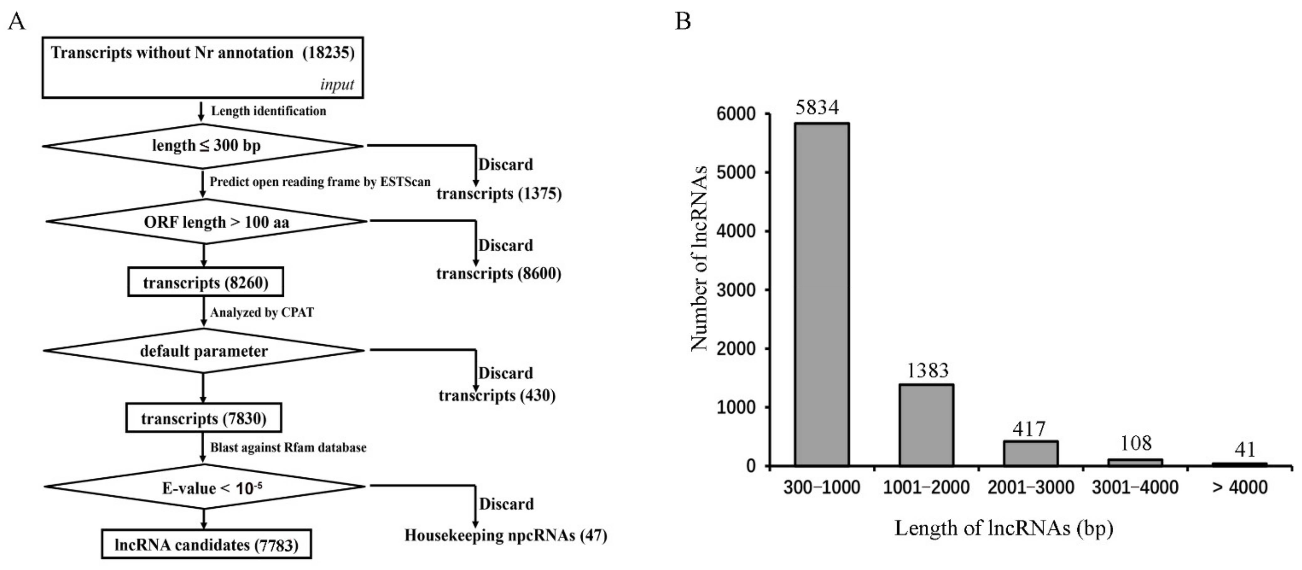 IJMS | Free Full-Text | Genome-Wide Analysis of Alternative 