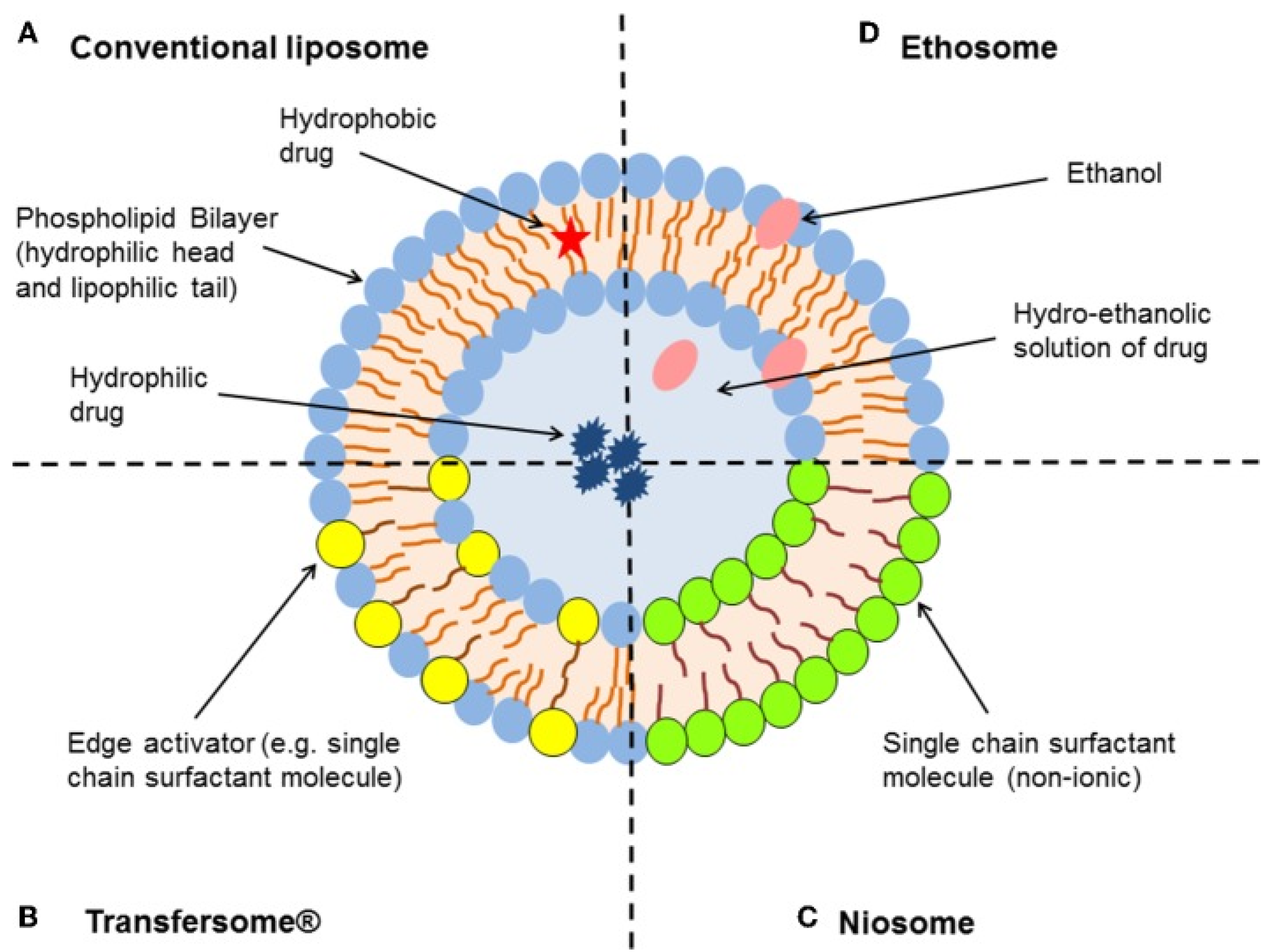 Neuromedium liposomal отзывы