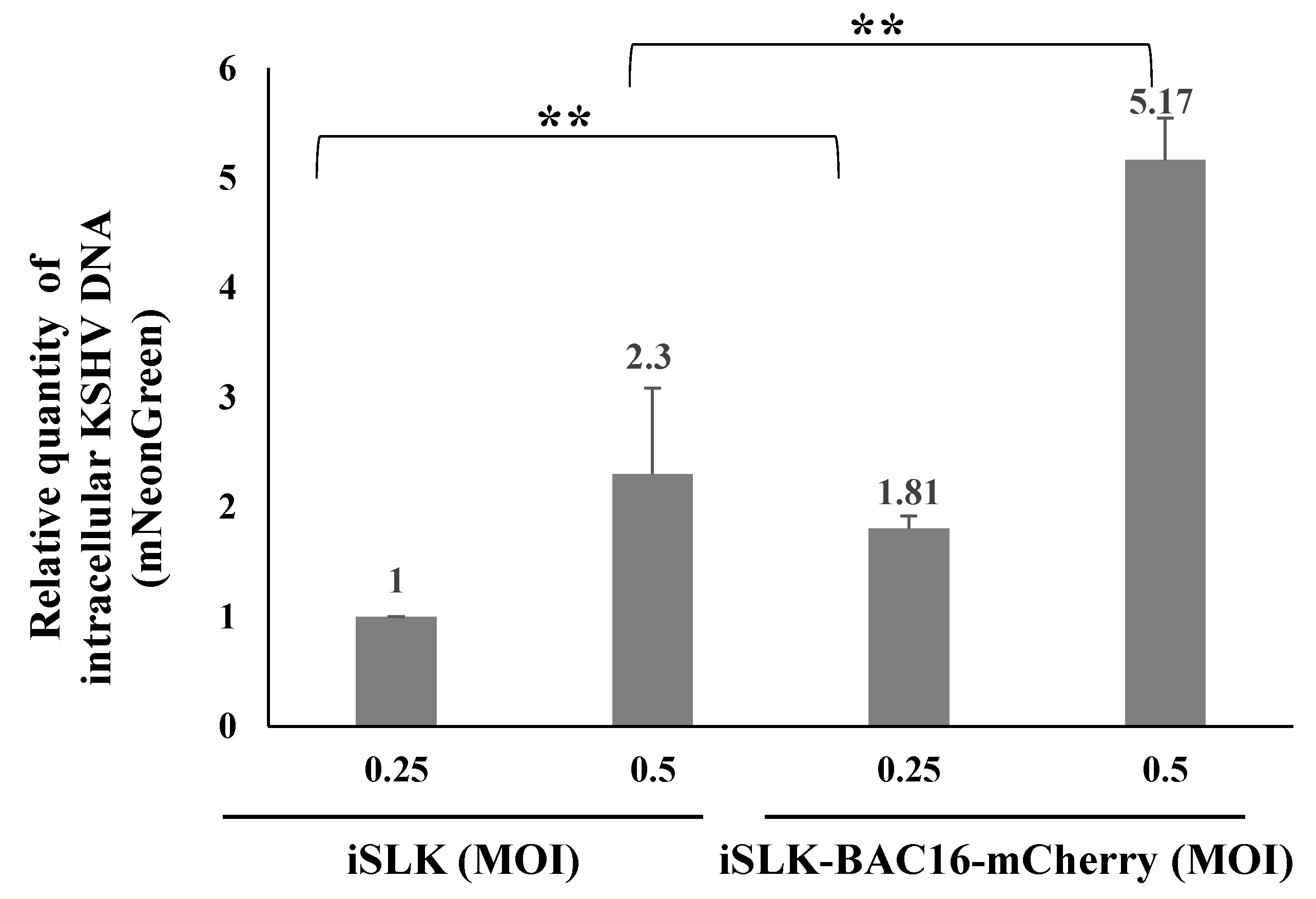 Ijms 22 11994 g007 Ijms 22 11994 g007