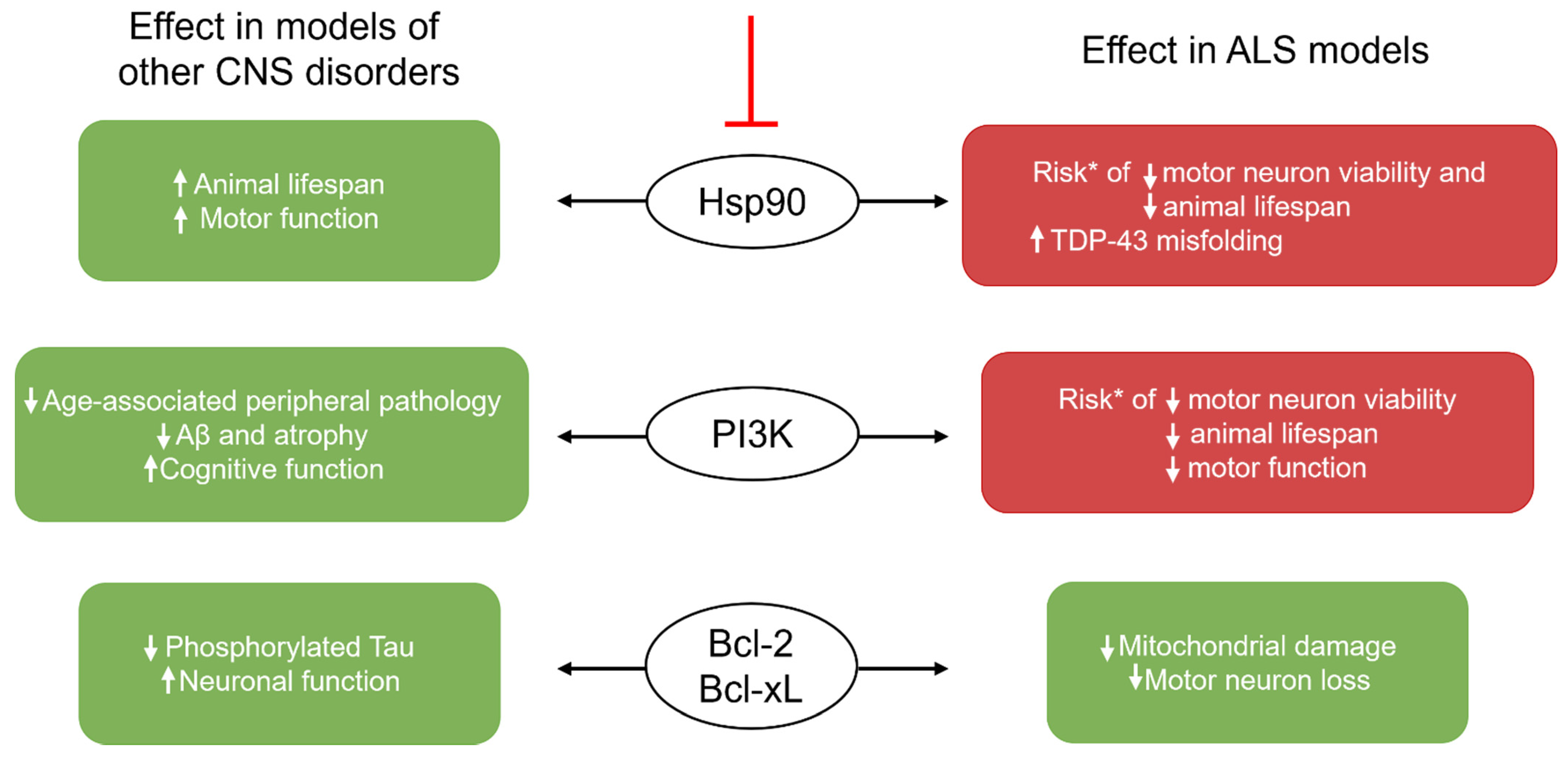 Ijms 22 12078 g002 Ijms 22 12078 g002