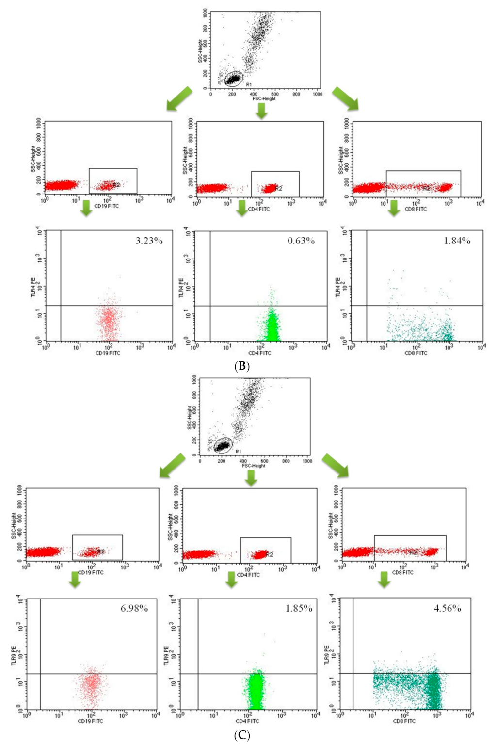 Ijms 22 12135 g010b Ijms 22 12135 g010b