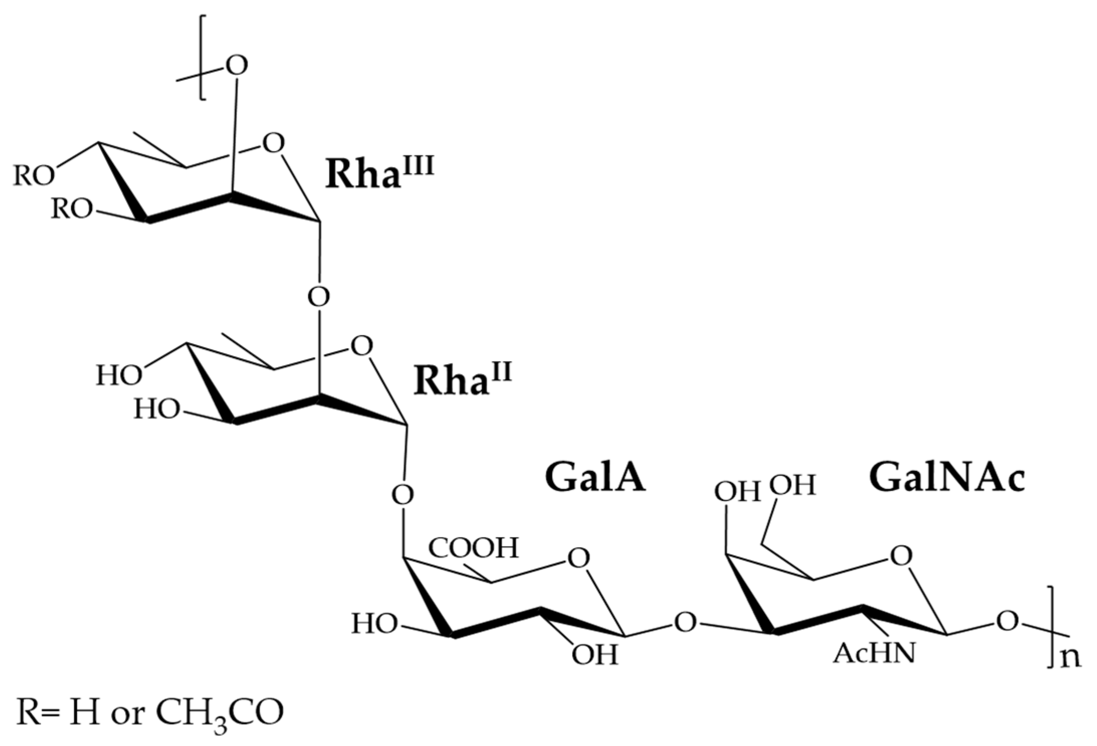 Ijms 22 12160 g001 Ijms 22 12160 g001