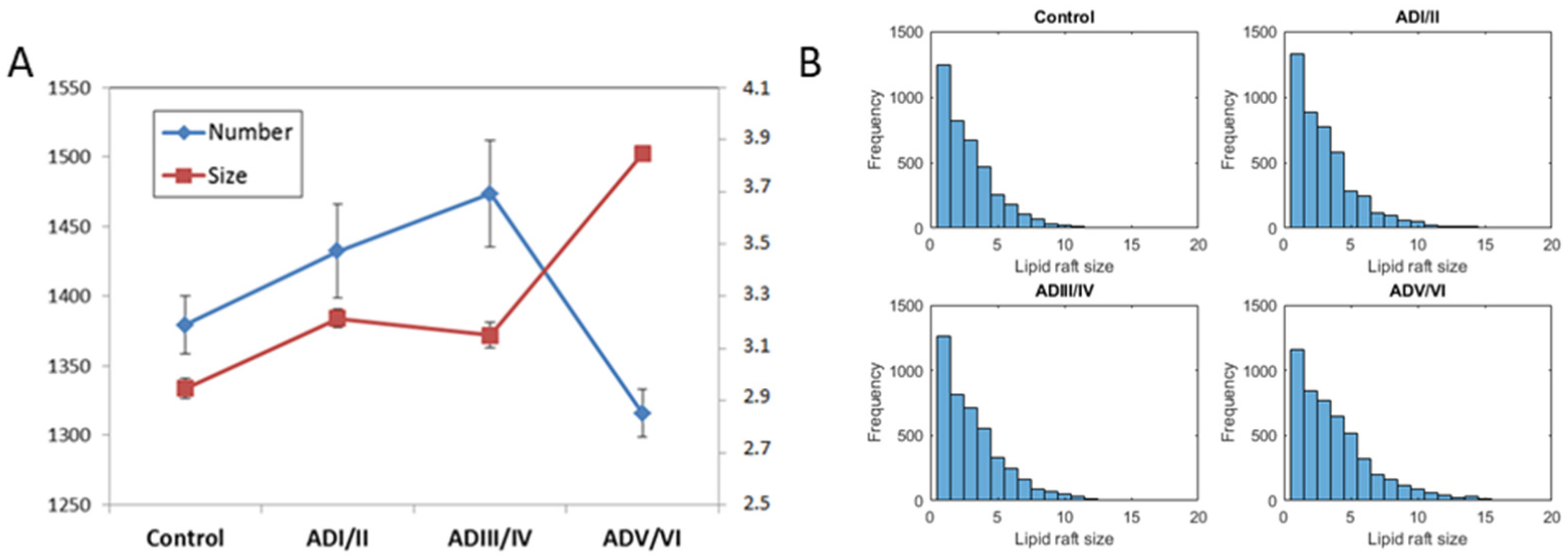 Ijms 22 12181 g004 Ijms 22 12181 g004