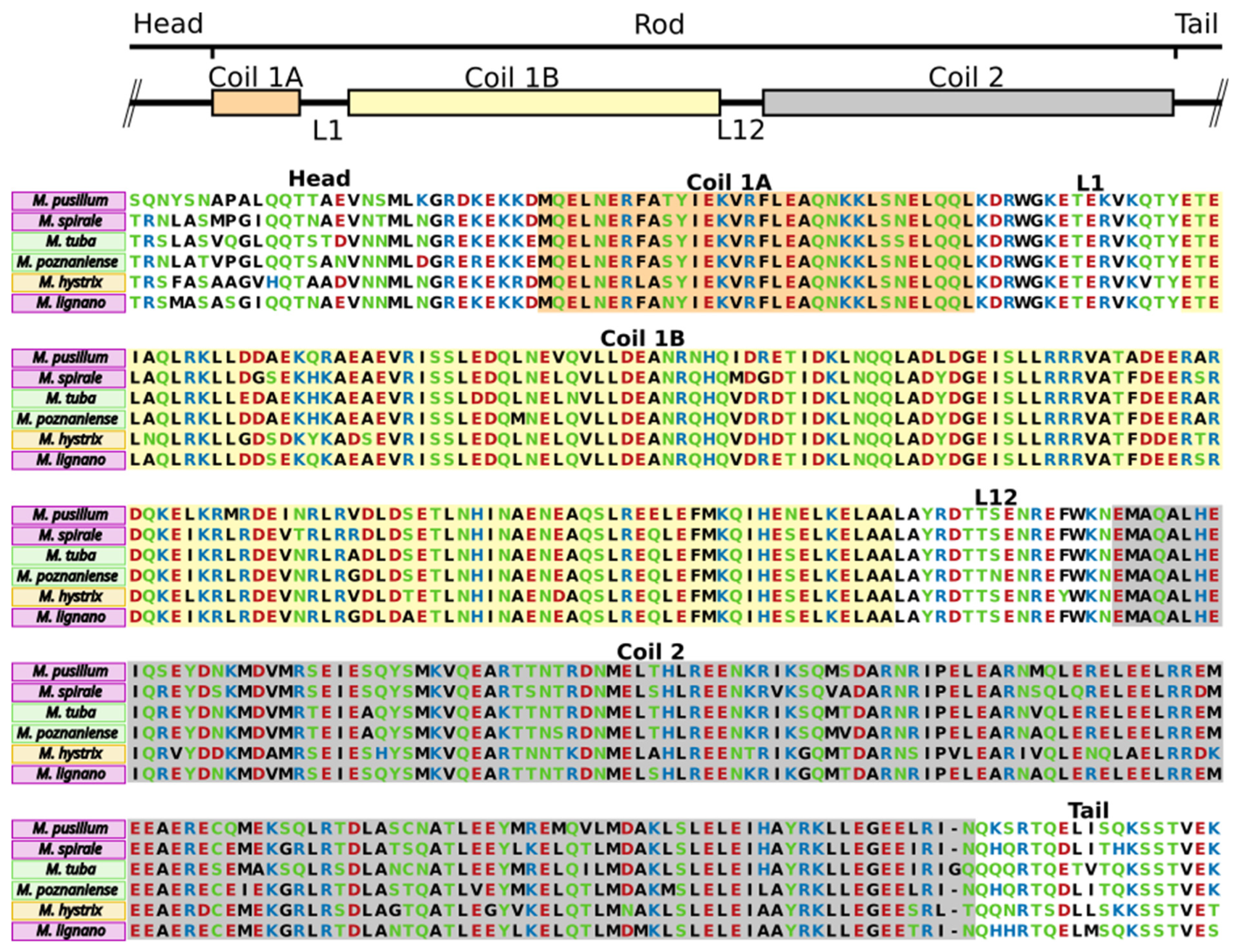 Ijms 22 12228 g004 Ijms 22 12228 g004