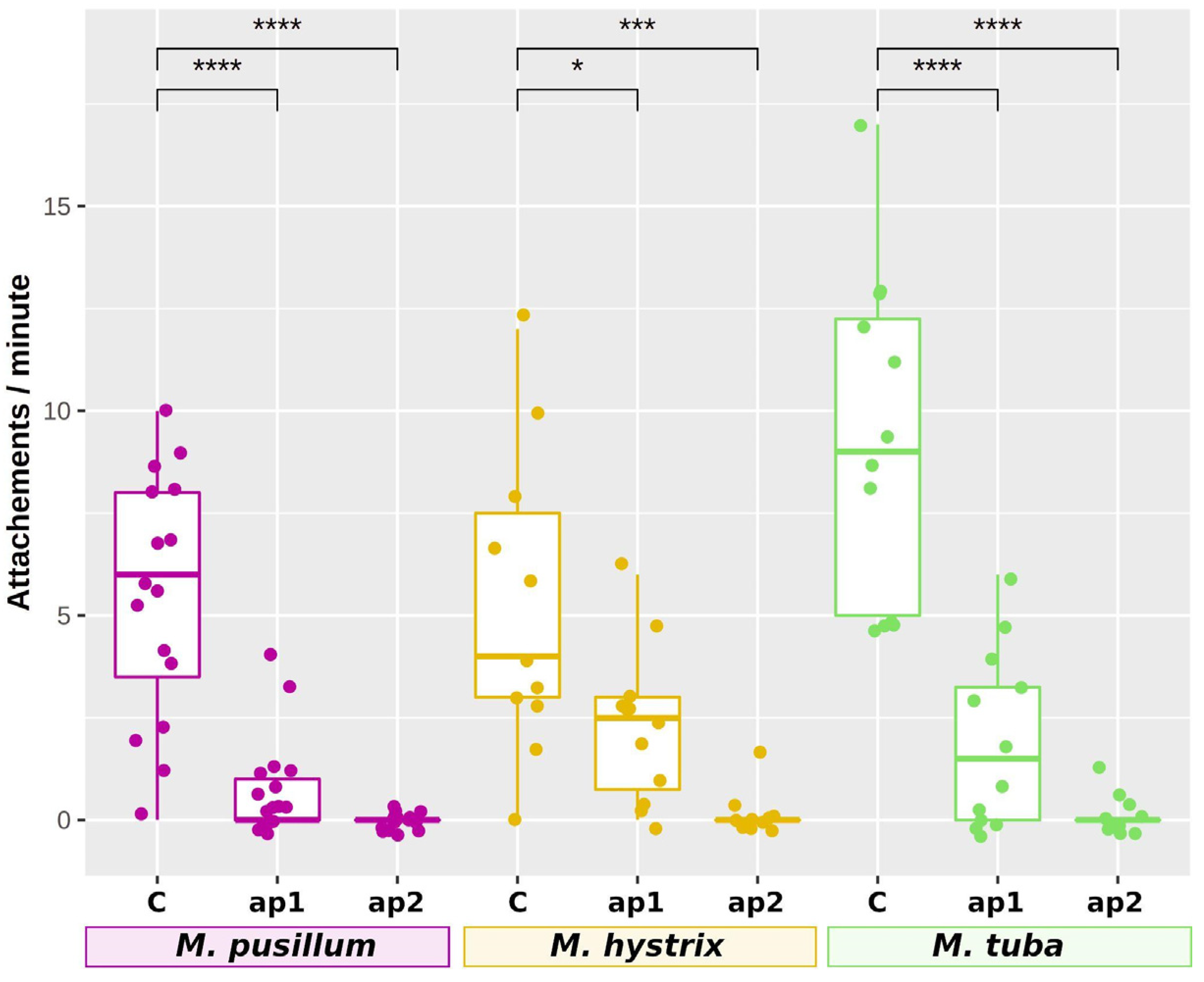 Ijms 22 12228 g006 Ijms 22 12228 g006