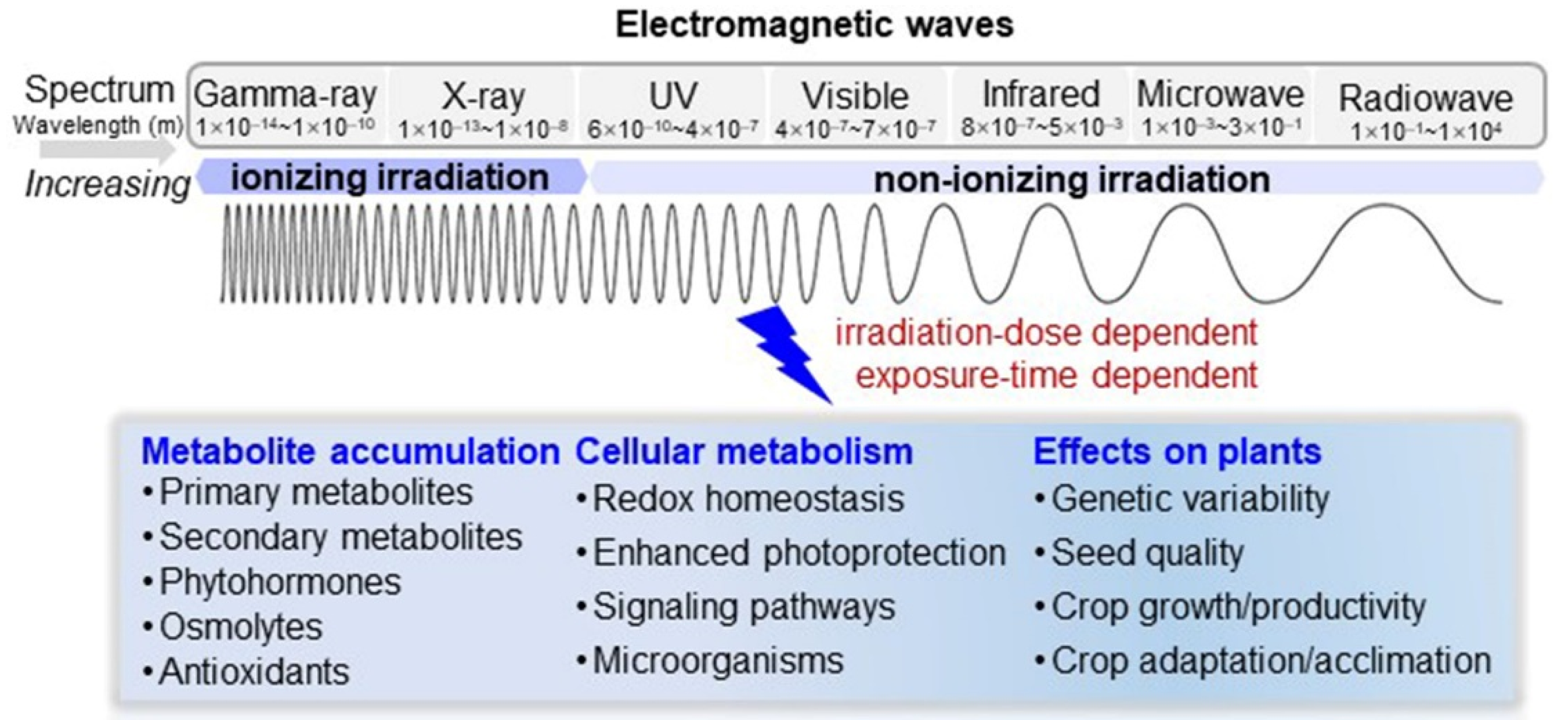 Ijms 22 12239 g004 Ijms 22 12239 g004