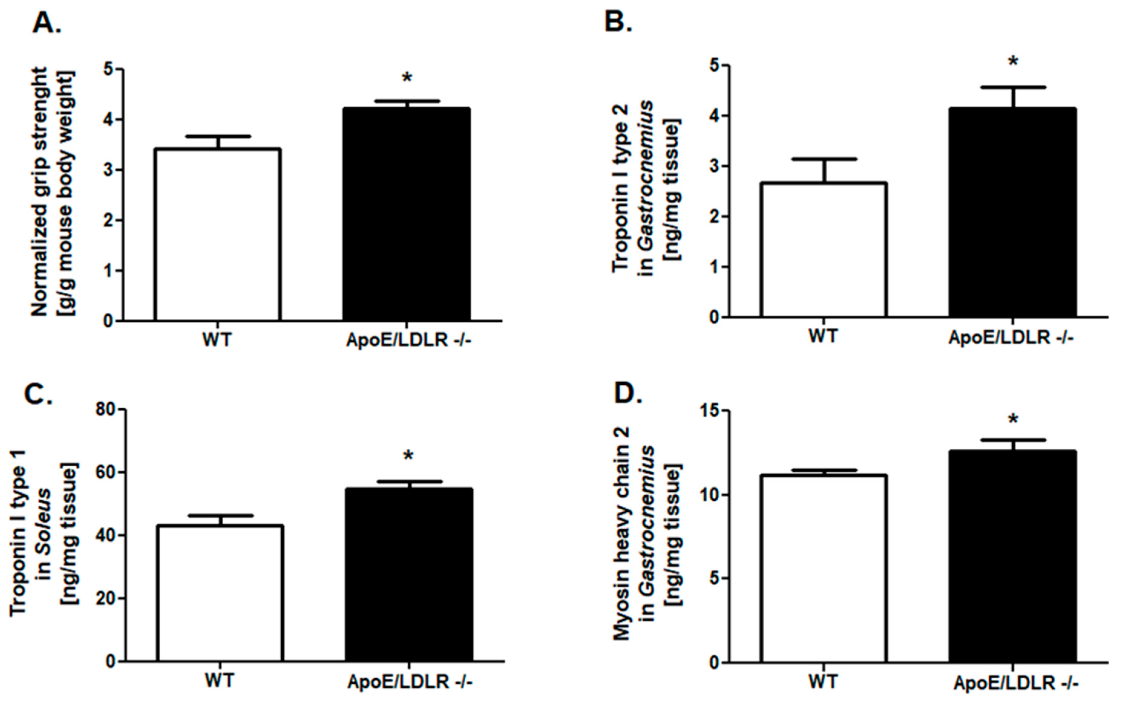 IJMS | Free Full-Text | Enhanced Muscle Strength in Dyslipidemic