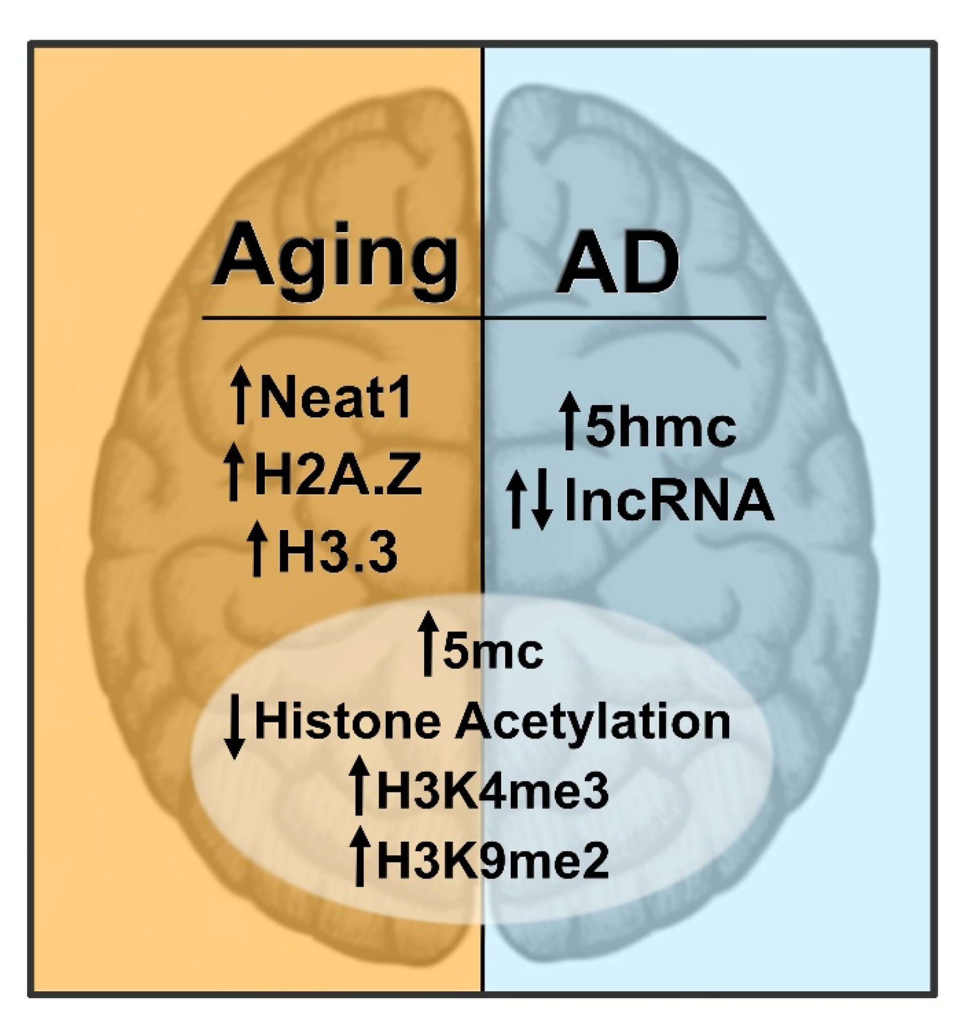 Ijms 22 12280 g002 Ijms 22 12280 g002