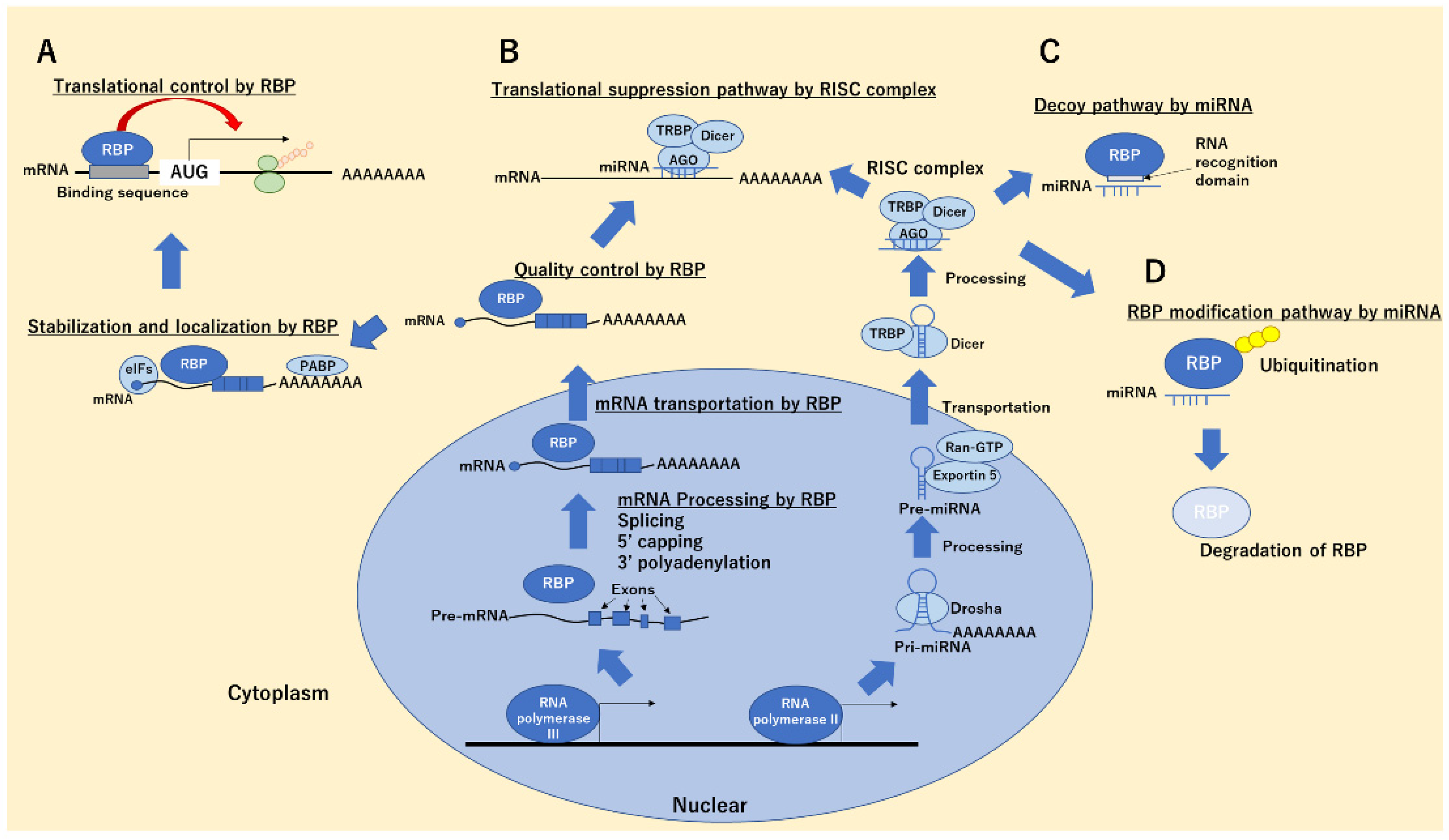 Ijms 22 12303 g001 Ijms 22 12303 g001