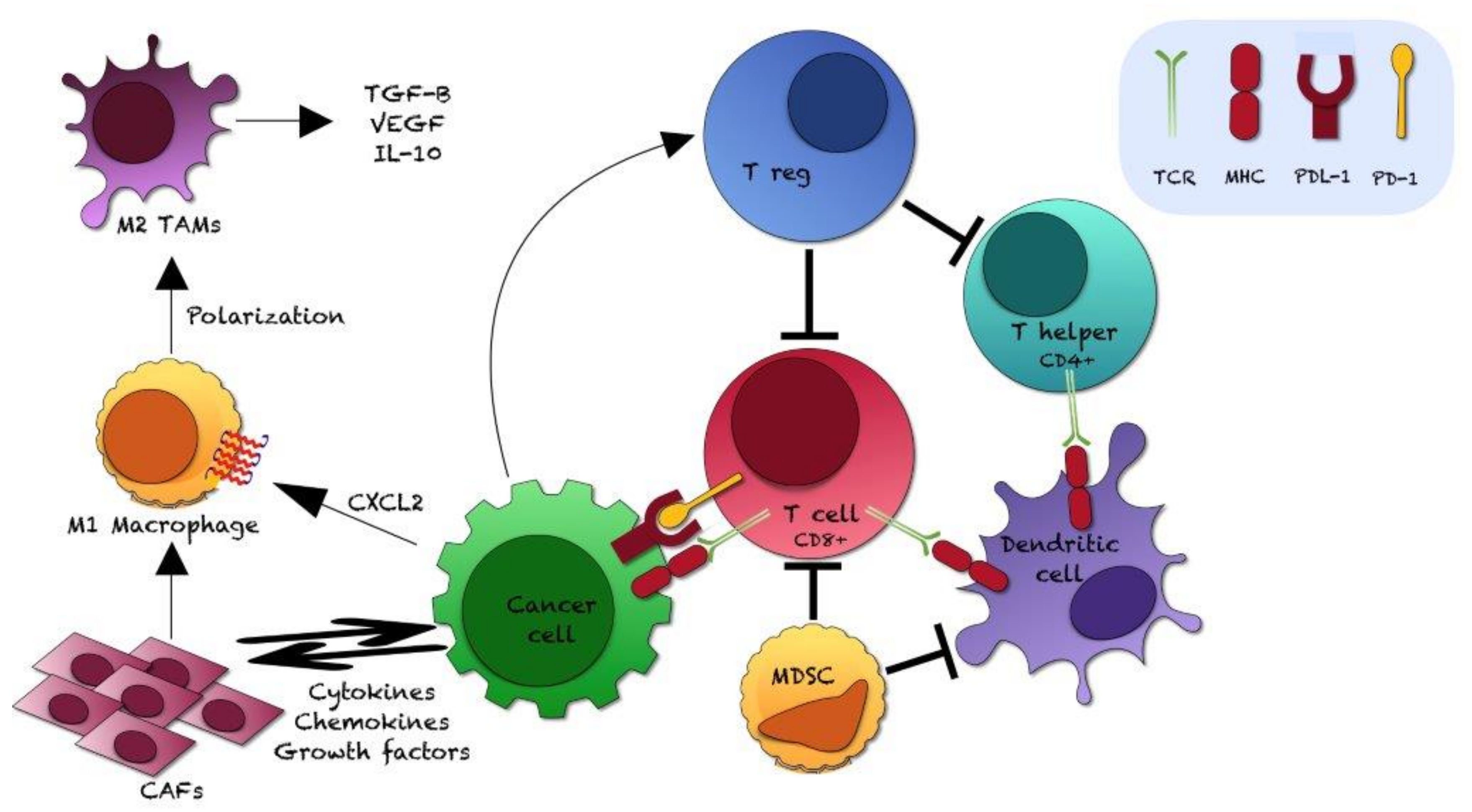 Ijms 22 12330 g004 Ijms 22 12330 g004