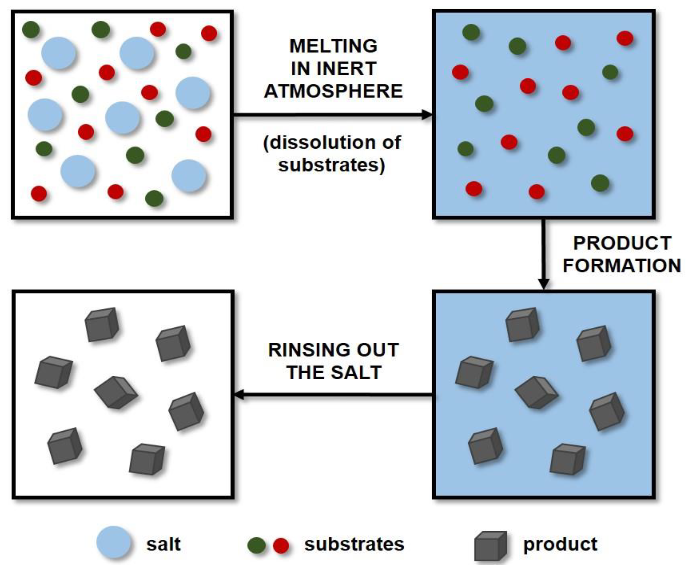 Ijms 22 12337 g003 Ijms 22 12337 g003