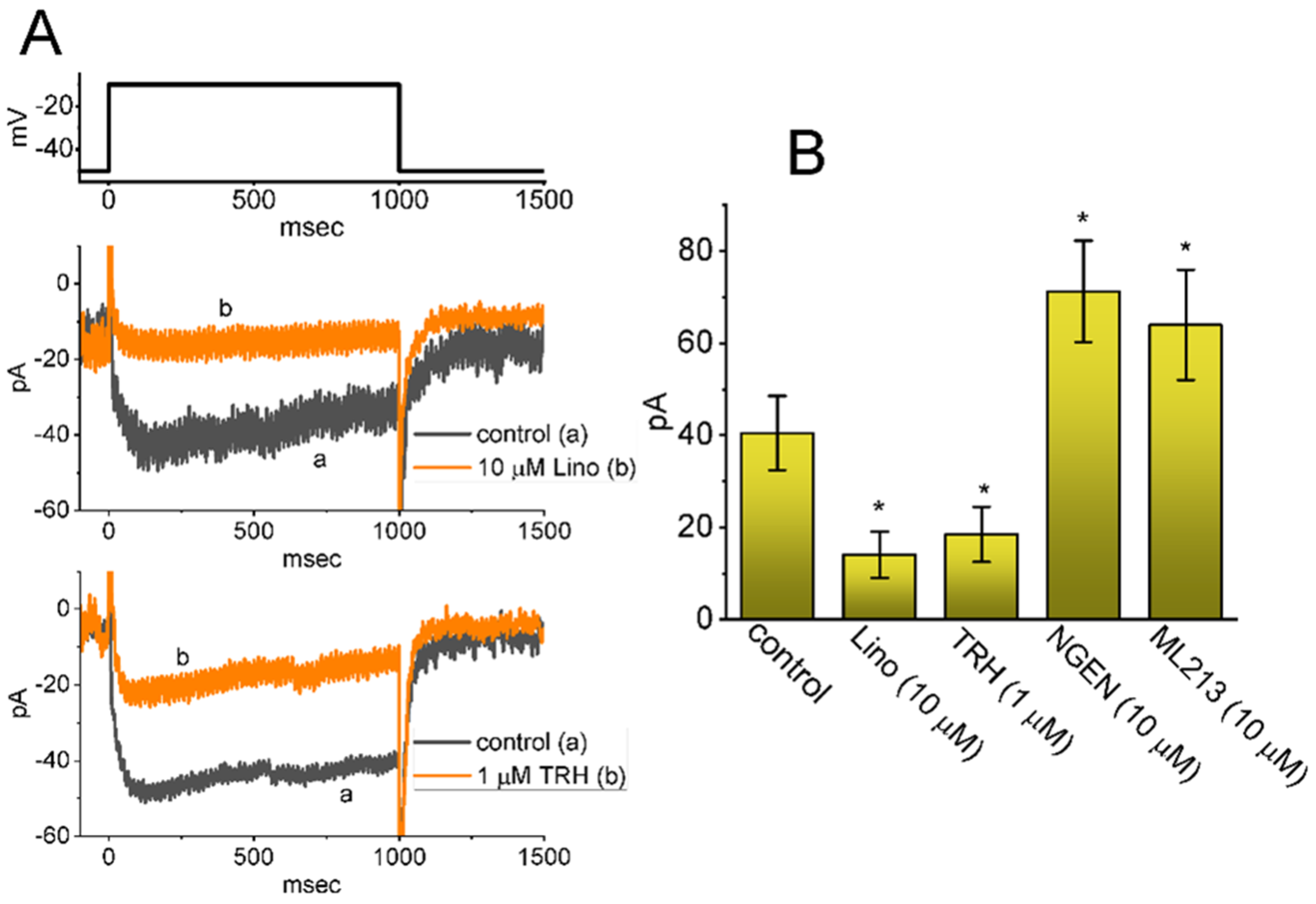 Ijms 22 12399 g002 Ijms 22 12399 g002