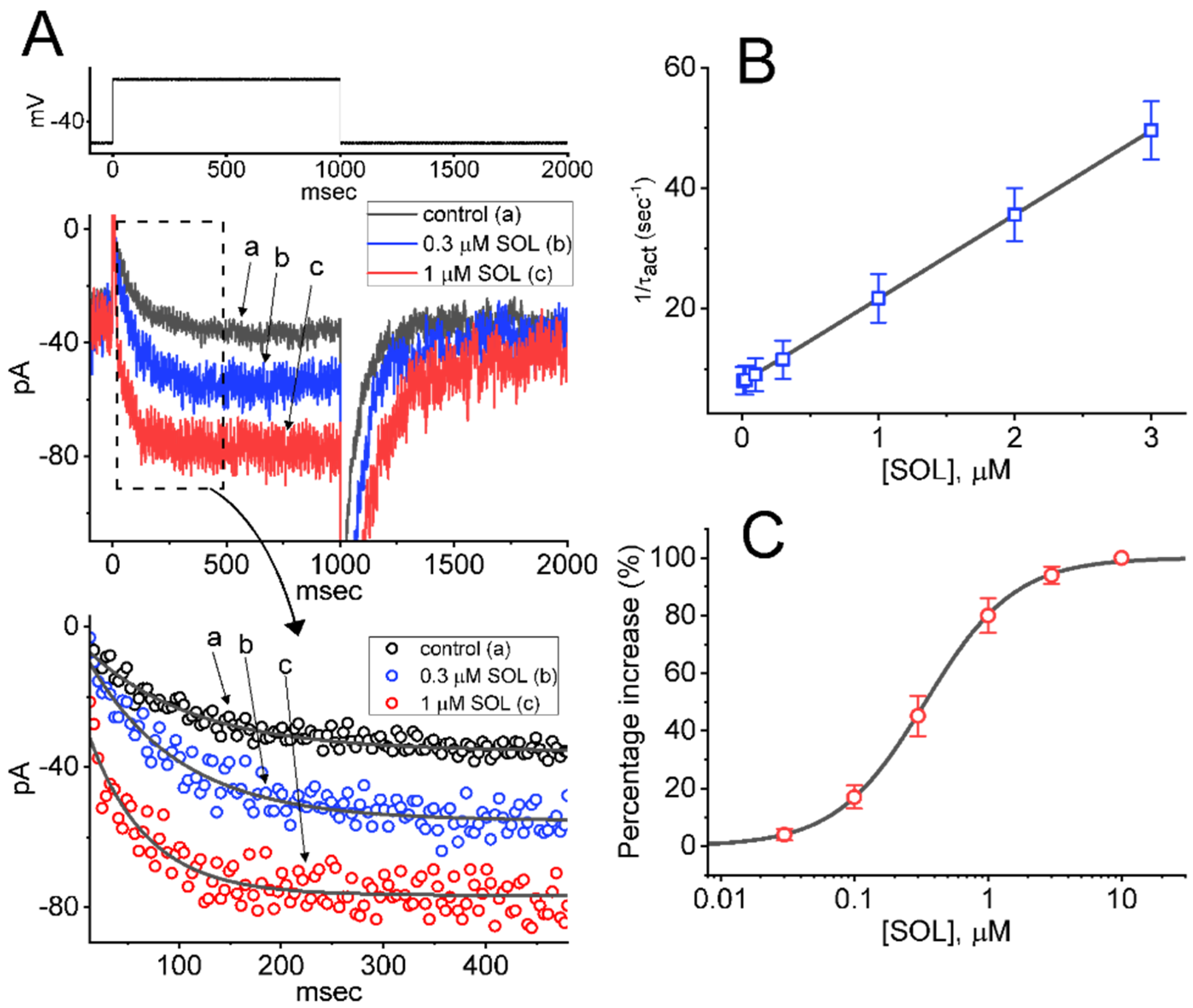 Ijms 22 12399 g003 Ijms 22 12399 g003