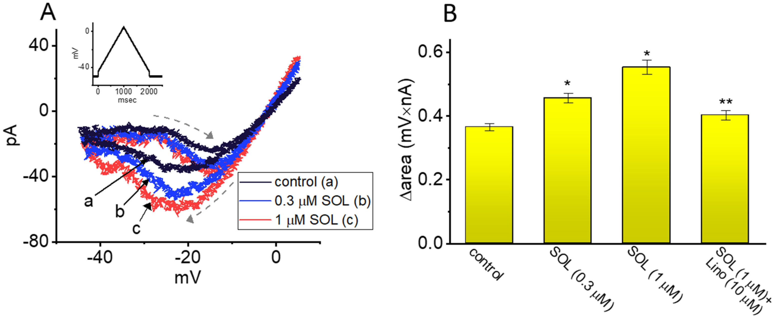 Ijms 22 12399 g006 Ijms 22 12399 g006