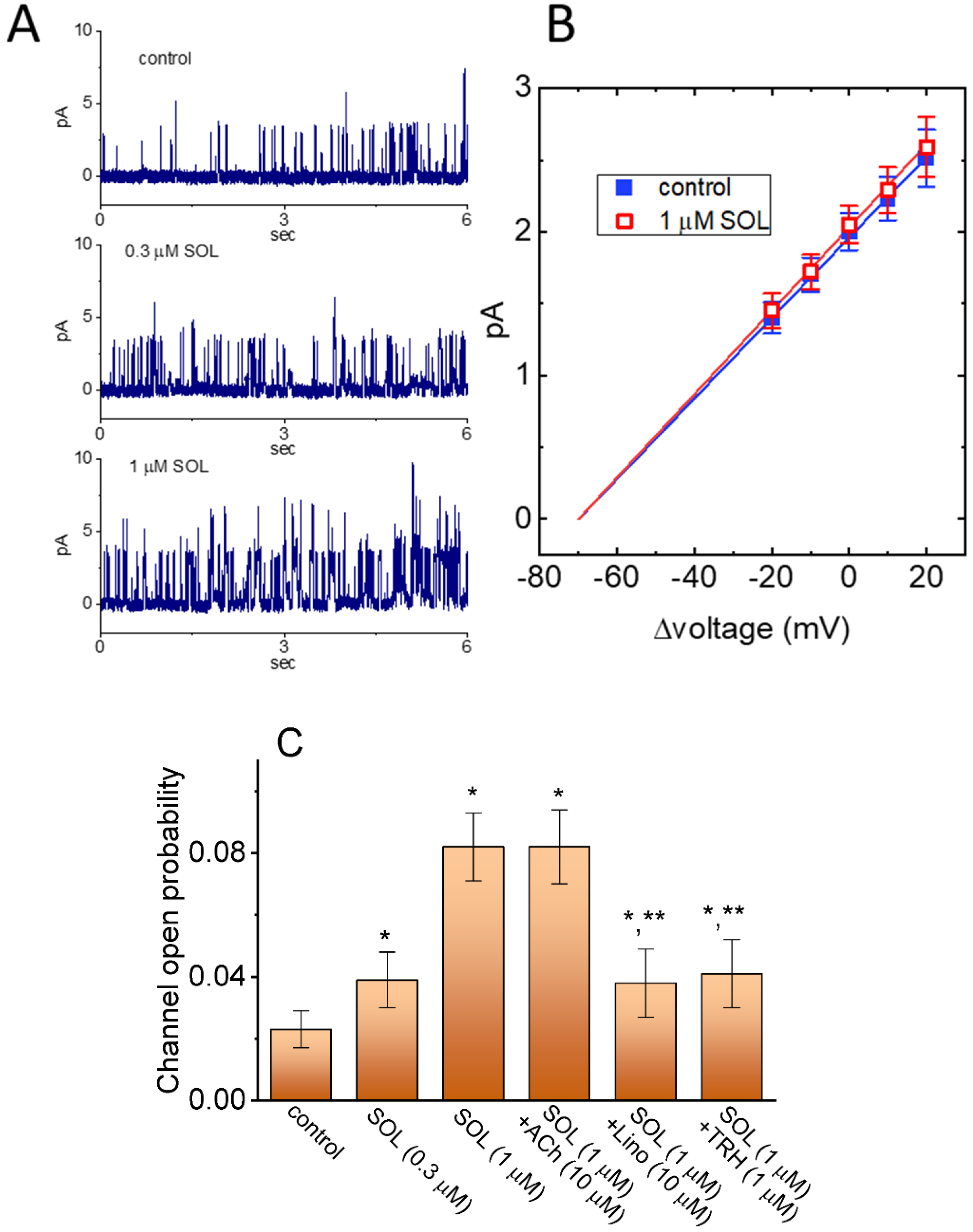 Ijms 22 12399 g007 Ijms 22 12399 g007