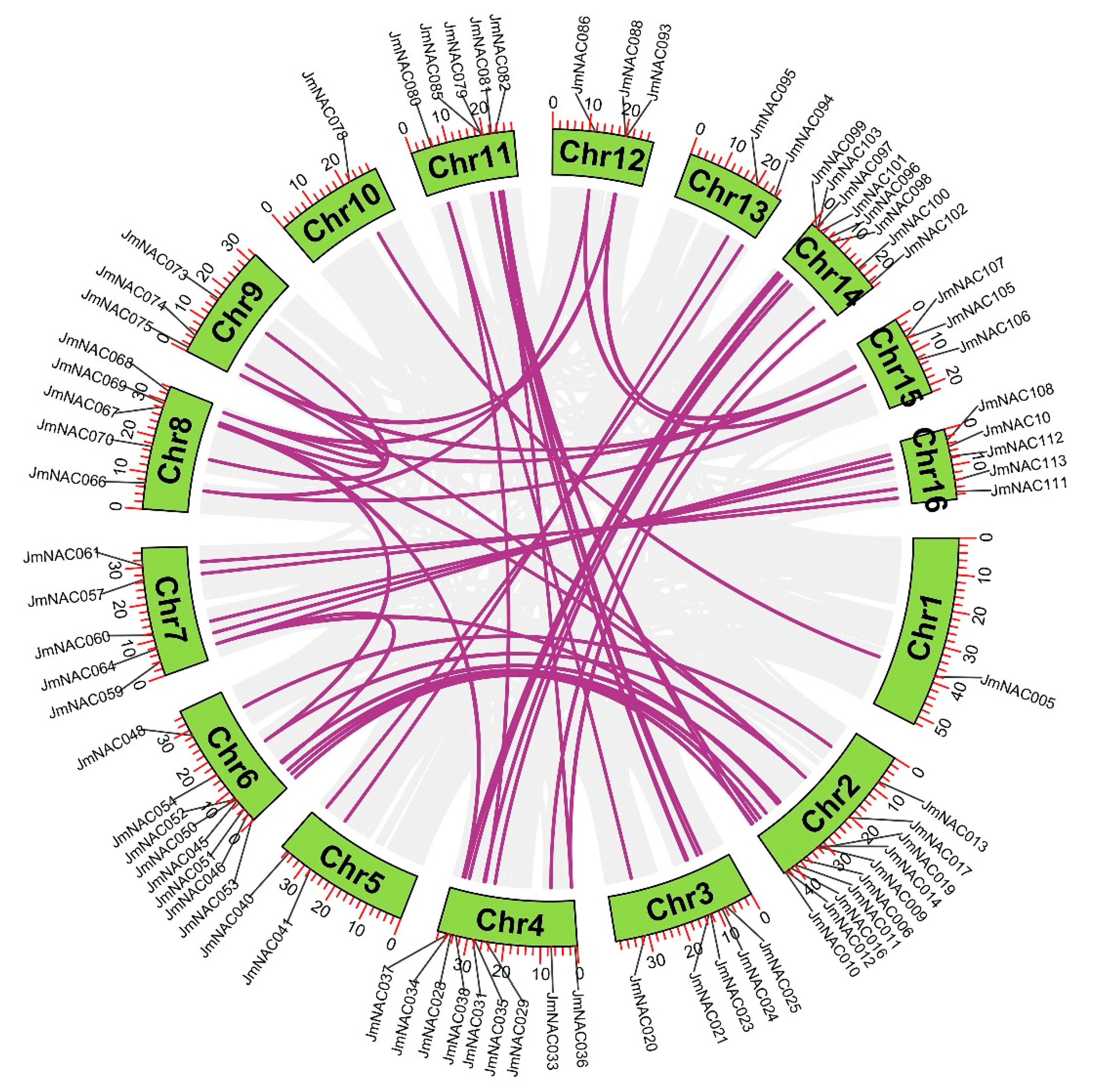 Ijms 22 12414 g005 Ijms 22 12414 g005
