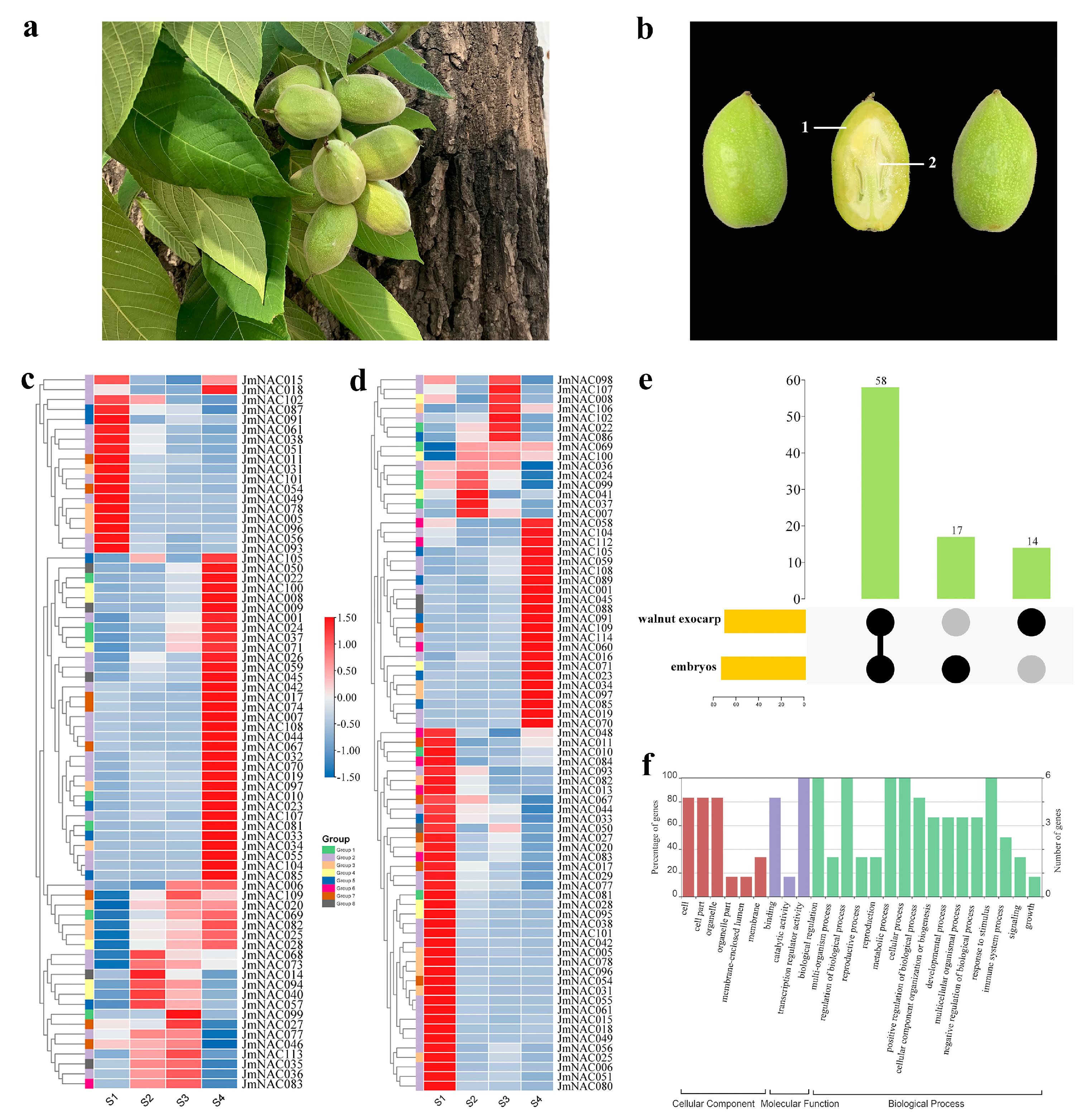 Ijms 22 12414 g006 Ijms 22 12414 g006