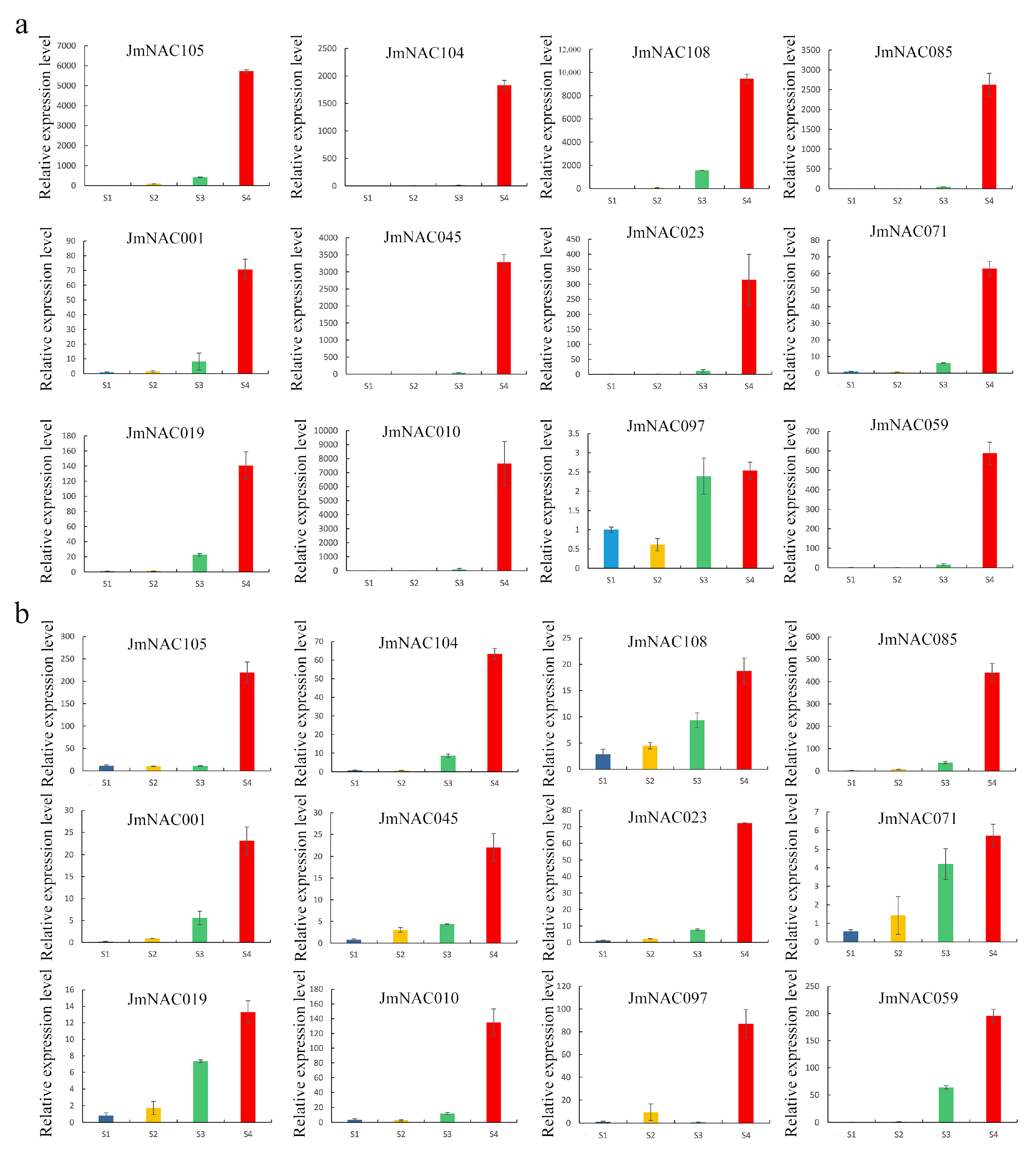 Ijms 22 12414 g007 Ijms 22 12414 g007