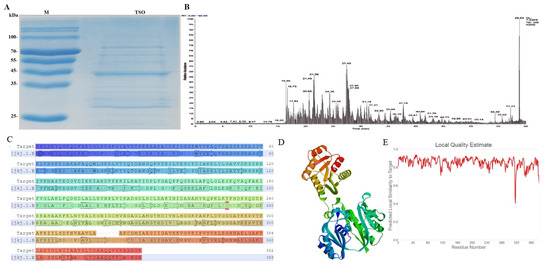 IJMS | Free Full-Text | Tryptophan Side-Chain Oxidase Enzyme 