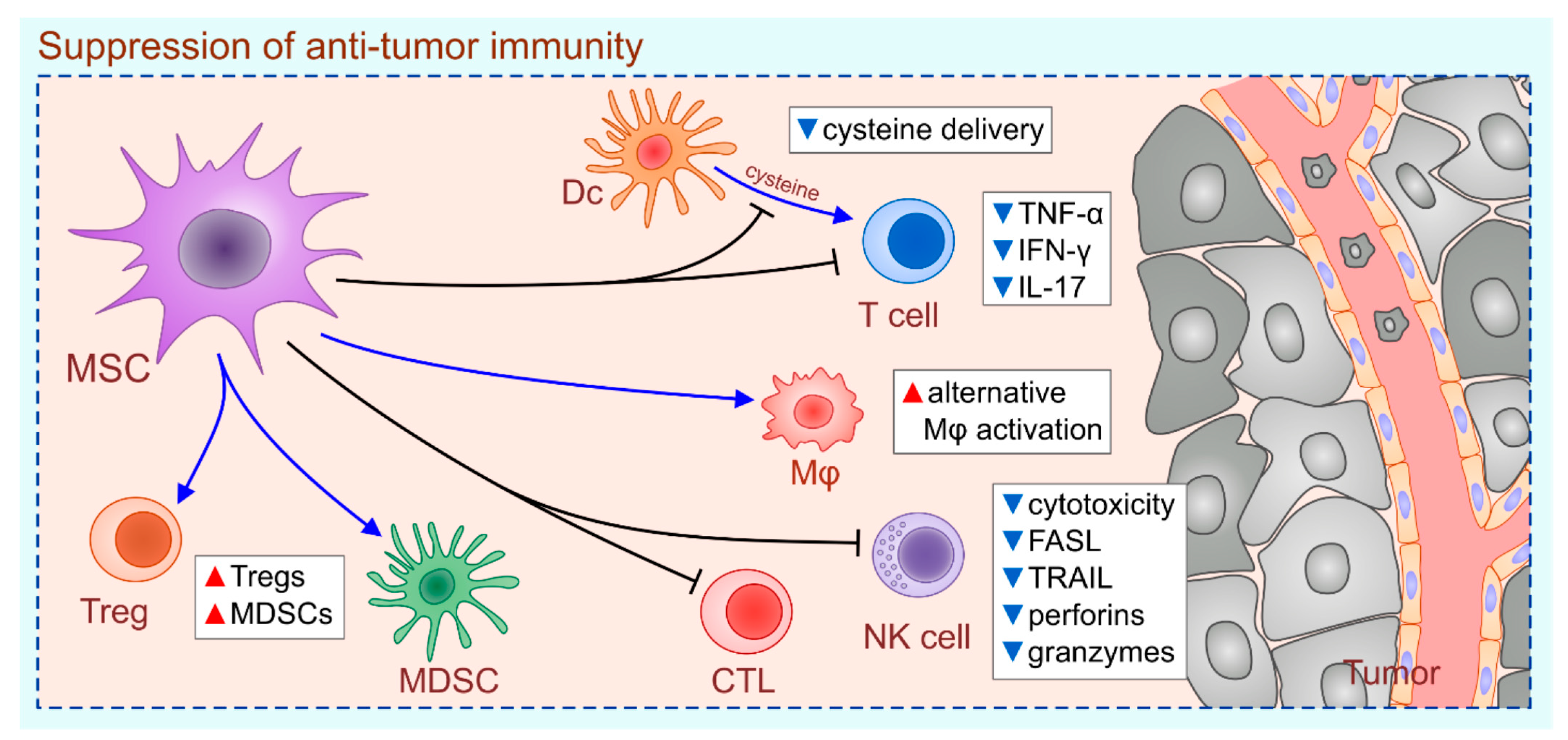Ijms 22 12429 g001 Ijms 22 12429 g001