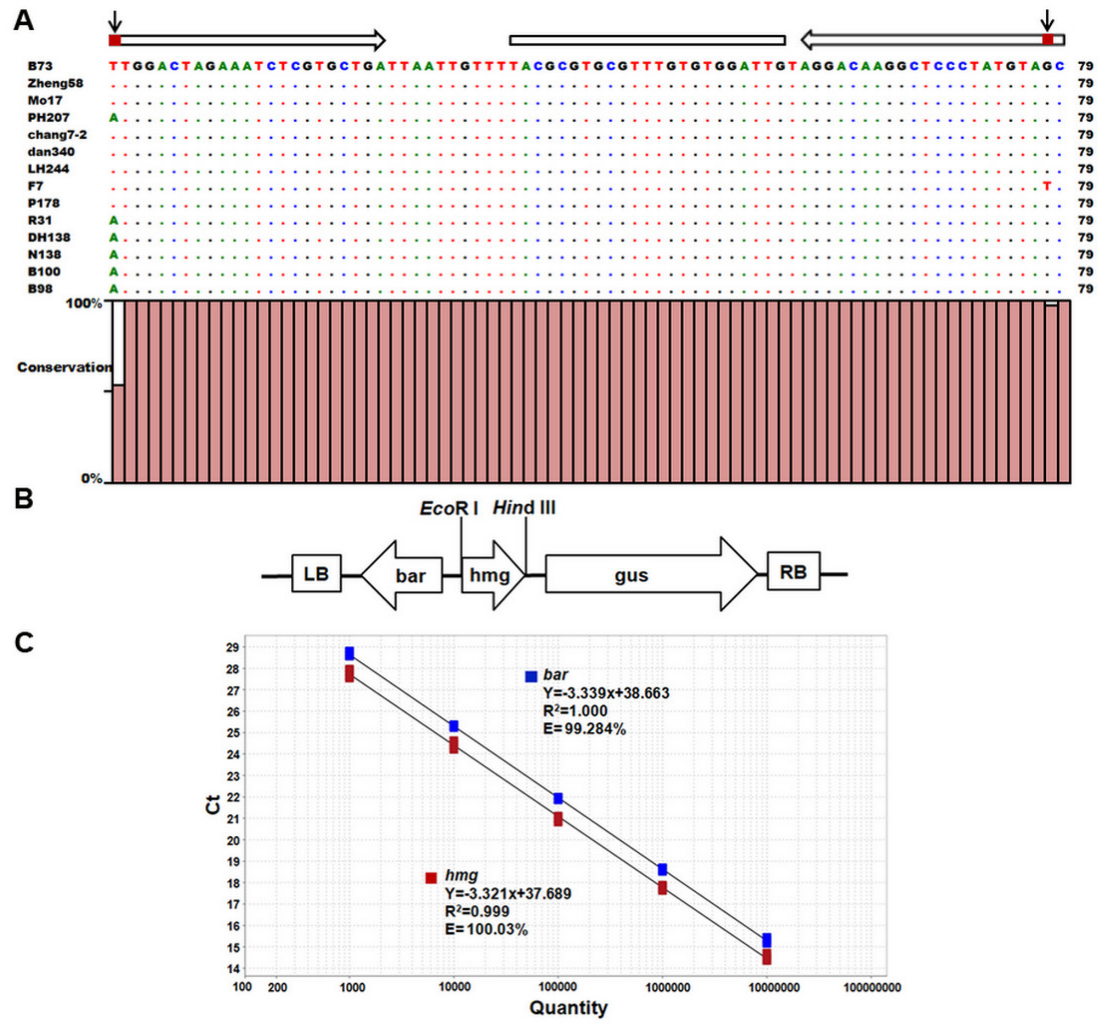 Ijms 22 12487 g001 Ijms 22 12487 g001